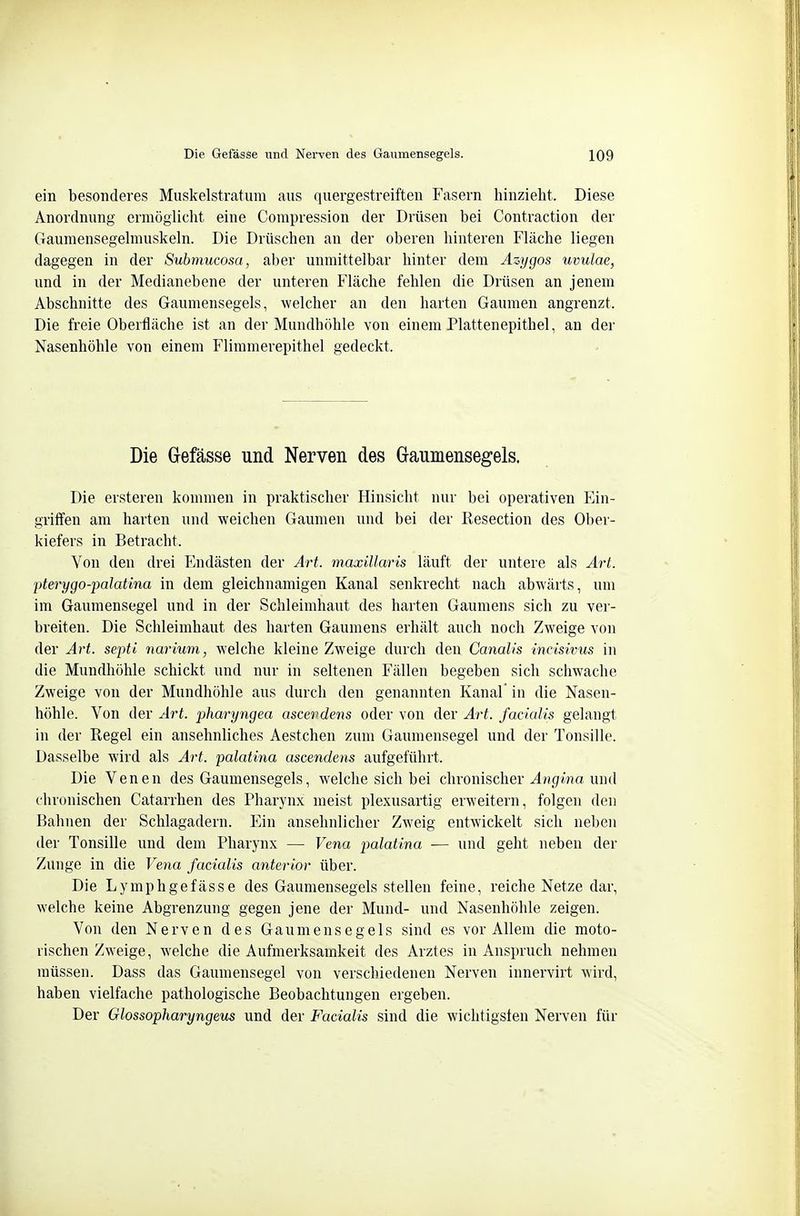 ein besonderes Muskelstratum aus quergestreiften Fasern hinzieht. Diese Anordnung ermöglicht eine Compression der Drüsen bei Contraction der Gaumensegelmuskeln. Die Drüschen an der oberen hinteren Fläche liegen dagegen in der Submucosa, aber unmittelbar hinter dem Azygos uvulae, und in der Medianebene der unteren Fläche fehlen die Drüsen an jenem Abschnitte des Gaumensegels, welcher an den harten Gaumen angrenzt. Die freie Oberfläche ist an der Mundhöhle von einem Plattenepithel, an der Nasenhöhle von einem Flimmerepithel gedeckt. Die Gefässe und Nerven des G-aumensegels. Die ersteren kommen in praktischer Hinsicht nur bei operativen Ein- griffen am harten und weichen Gaumen und bei der Resection des Ober- kiefers in Betracht. Von den drei Endästen der Art. maxillaris läuft der untere als Ari. pterygo-palatina in dem gleichnamigen Kanal senkrecht nach abwärts, um im Gaumensegel und in der Schleimhaut des harten Gaumens sich zu ver- breiten. Die Schleimhaut des harten Gaumens erhält auch noch Zweige von der Art. septi nariuni, welche kleine Zweige durch den Canalis incisivus in die Mundhöhle schickt und nur in seltenen Fällen begeben sich schwache Zweige von der Mundhöhle aus durch den genannten Kanal' in die Nasen- höhle. Von der Art. pharyngea ascevdens oder von der Art. facialis gelangt in der Regel ein ansehnliches Aestchen zum Gaumensegel und der Tonsille. Dasselbe wird als Art. palatina ascendens aufgeführt. Die Venen des Gaumensegels, welche sich bei chronischer Angina und chronischen Catarrhen des Pharynx meist plexusartig erweitern, folgen d(!ii Bahnen der Schlagadern. Ein ansehnlicher Zweig entwickelt sich neben der Tonsille und dem Pharynx — Vena palatina — und geht neben der Zunge in die Vena facialis anterior über. Die Lymphgefässe des Gaumensegels stellen feine, reiche Netze dar, welche keine Abgrenzung gegen jene der Mund- und Nasenhöhle zeigen. Von den Nerven des Gaumensegels sind es vor Allem die moto- rischen Zweige, welche die Aufmerksamkeit des Arztes in Anspruch nehmen müssen. Dass das Gaumensegel von verschiedenen Nerven innervirt wird, haben vielfache pathologische Beobachtungen ergeben. Der Glossopharyngeus und der Facialis sind die wichtigsten Nerven für