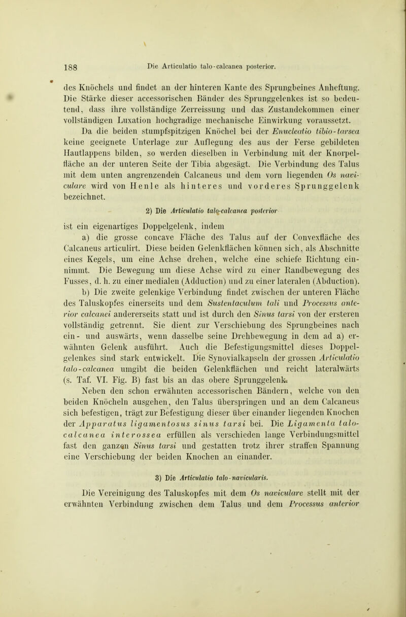 des Knöchels und findet an der hinteren Kante des Sprungbeines Anheftung. Die Stärlic dieser accessorischen Bänder des Sprunggelenkes ist so bedeu- tend, dass ihre vollständige Zerreissung und das Zustandekommen einer vollständigen Luxation hochgradige mechanische lunwirkung voraussetzt. Da die beiden stumpfspitzigen Knöchel bei der Enucleatio tibio-tarsea keine geeignete Unterlage zur Auflegung des aus der Ferse gebildeten Hautlappens bilden, so werden dieselben in Verbindung mit der Knorpel- fläche an der unteren Seite der Tibia abgesägt. Die Verbindung des Talus mit dem unten angrenzenden Calcaneus und dem vorn liegenden Os navi- culare wird von Henle als hinteres und vorderes Sprunggelenk bezeichnet. 2) Die Articulatio talo-calcanea 'posterior ist ein eigenartiges Doppelgelenk, indem a) die grosse concave Fläche des Talus auf der Convexfläche des Calcaneus articulirt. Diese beiden Gelenkflächen können sich, als Abschnitte eines Kegels, um eine Achse drehen, welche eine schiefe Richtung ein- nimmt. Die Bewegung um diese Achse wird zu einer Randbewegung des Fusses, d. h. zu einer medialen (Adduction) und zu einer lateralen (Abduction). b) Die zweite gelenkige Verbindung findet zwischen der unteren Fläche des Taluskopfes einerseits und dem Sustentaculwn tali und Processits ante- rior calcanei andererseits statt und ist durch den Sinus tarsi von der ersteren vollständig getrennt. Sie dient zur Verschiebung des Sprungbeines nach ein- und auswärts, wenn dasselbe seine Drehbewegung in dem ad a) er- wähnten Gelenk ausführt. Auch die Befestigungsmittel dieses Doppel- gclenkes sind stark entwickelt. Die Synovialkapseln der grossen Articulatio talo-calcanea umgibt die beiden Gelenkflächen und reicht lateralwärts (s. Taf. VI. Fig. B) fast bis an das obere Sprunggelenk Neben den schon erwähnten accessorischen Bändern, welche von den beiden Knöcheln ausgehen, den Talus überspringen und an dem Calcaneus sich befestigen, trägt zur Befestigung dieser über einander liegenden Knochen dev Apparat US ligamentosus sinus tarsi bei. Die Ligamenta talo- calcanea interossea erfüllen als verschieden lange Verbindungsmittel fast den ganzQu Sinus tarsi und gestatten trotz ihrer straften Spannung eine Verschiebung der beiden Knochen an einander. 3) Die Articulatio talo-navicularis. Die Vereinigung des Taluskopfes mit dem Os naviculare stellt mit der erwähnten Verbindung zwischen dem Talus und dem Processus anterior
