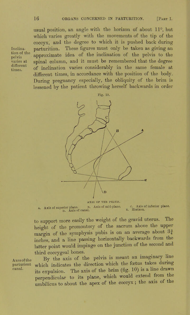 Inclina- tion of the pelvis varies at different times. usual position, an angle with the horizon of about 11°, but which varies greatly with the movements of the tip of the coccyx, and the degree to which it is pushed back during parturition. These figures must only be taken as giving an approximate idea of the inclination of the pelvis to the spinal column, and it must be remembered that the degree of inclination varies considerably in the same female at different times, in accordance with the position of the body. During pregnancy especially, the obliquity of the brim is lessened by the patient throwing herself backwards in order Axes of the parturient canal. Fig. 10. AXES OF THE PELVIS. Axis of superior plane. b. D. Axis of canal. Axis of mid-plane. c. Axis of inferior plane. E. Horizon. to support more easily the weight of the gravid uterus. The height of the promontory of the sacrum above the upper margin of the symphysis pubis is on an average about 3f inches, and a line passing horizontally backwards from the latter point would impinge on the junction of the second and third coccygeal bones. By the axis of the pelvis is meant an imaginary Ime which indicates the direction which the foetus takes during its expulsion. The axis of the brim (fig. 10) is a line drawn perpendicular to its plane, which would extend from the umbilicus to about the apex of the coccyx; the axis of the