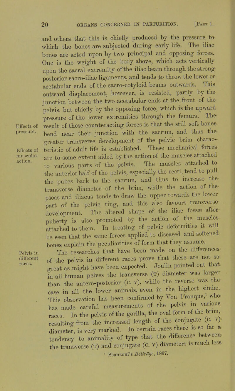 Effects of pressure. Effects of muscular action. Pelvis in different races. and others that this is chiefly produced by the pressure to- which the bones are subjected during early life. The iliac bones are acted upon by two principal and opposing forces. One is the weight of the body above, which acts vertically upon the sacral extremity of the iliac beam through the strong posterior sacro-iliac ligaments, and tends to throw the lower or acetabular ends of the sacro-cotyloid beams outwards. This outward displacement, however, is resisted, partly by the junction between the two acetabular ends at the front of the pelvis, but chiefly by the opposing force, which is the upward pressure of the lower extremities through the femurs. The- result of these counteracting forces is that the still soft bones bend near their junction with the sacrum, and thus the greater transverse development of the pelvic brim charac- teristic of adult life is established. These mechanical forces, are to some extent aided by the action of the muscles attached to various parts of the pelvis. The muscles attached to the anterior half of the pelvis, especially the recti, tend to pull the pubes back to the sacrum, and thus to increase the transverse diameter of the brim, while the action of the- psoas and iliacus tends to draw the upper towards the lower part of the pelvic ring, and this also favours transverse development. The altered shape of the iliac fossas after- puberty is also promoted by the action of the muscles- attached to them. In treating of pelvic deformities it will be seen that the same forces applied to diseased and softened bones explain the peculiarities of form that they assume. The researches that have been made on the differences of the pelvis in diff'erent races prove that these are not so- great as might have been expected. Joulin pointed out that in all human pelves the transverse (t) diameter was larger than the antero-posterior (c. v), while the reverse was the- case in all the lower animals, even in the highest simiae. This observation has been confirmed by Von Franque,' who. has made careful measurements of the pelvis m various races In the pelvis of the gorilla, the oval form of the brim resulting from the increased length of the conjugate (c. diameter, is very marked. In certain races there is so far a tendency to animality of type that the difference between the transverse (t) and conjugate (c. v) diameters is much less. ' Scanzoni's Bcitrage, 18G7.