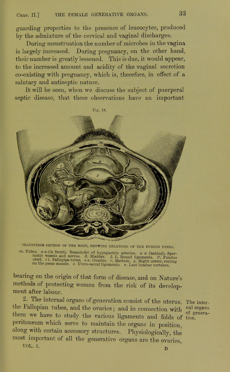 guarding properties to the presence of leucocytes, produced hj the admixture of the cervical and vaginal discharges. During menstruation the number of microbes in the vagina is lai'gely increased. During pregnancy, on the other hand, their number is greatly lessened. This is due, it would appear, to the increased amount and acidity of the vaginal secretion co-existing with pregnancy, which is, therefore, in effect of a salutary and antiseptic nature. It will be seen, when we discuss the subject of puerperal septic disease, that these observations have an important Fig. 18. TRAXSraKSE SECTION OP THE BODY, SHOWING RELATIONS OF THE FUNDUS UTEUI. m. Pubes. a a (ia front). Eemainder of hypogastric arteries, a a (behind). Sper- matic vessels and nerves. B. Bladder. L L. Round Ugaments. U. Fundus uten. 11. Fallopian tubes, o o. Ovaries, r. Rectum, g. Right ureter, resting on the psoas muscle, c. Utcro-sacral ligaments, e. Last lumbar vertebra. bearing on the origin of that form of disease, and on Nature's methods of protecting women from the risk of its develop- ment after labour. 2. The internal organs of generation consist of the uterus, The inter- the Fallopian tubes, and the ovaries; and in connection with them we have to study the various ligaments and folds of tiorf peritoneum which serve to maintain the organs in position along with certain accessory structures. Physiologically, the most important of all the generative organs are the ovaries VOL. I. ^ '