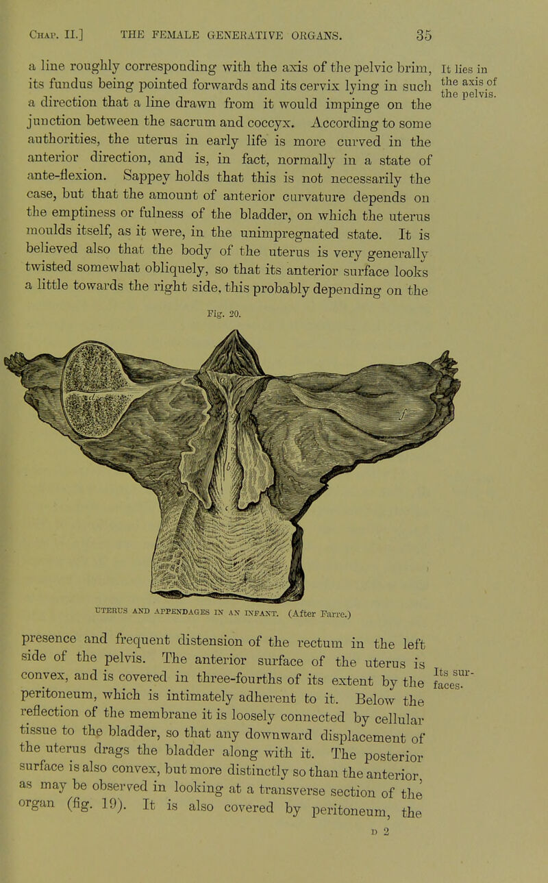 a line roughly corresponding with the axis of the pelvic brim, it lies in its fundus being pointed forwards and its cervix lying in such JJj^ peWi? a direction that a line drawn from it would impinge on the junction between the sacrum and coccyx. According to some authorities, the uterus in early life is more curved in the anterior direction, and is, in fact, normally in a state of ante-flexion. Sappey holds that this is not necessarily the case, but that the amount of anterior curvature depends on the emptiness or fulness of the bladder, on which the uterus moulds itself, as it were, in the unimpregnated state. It is believed also that the body of the uterus is very generally twisted somewhat obliquely, so that its anterior surface looks a little towards the right side, this probably depending on the Pis-. 20. Its sur- UTERUS AND APPENDAGES IN AN INFANT. (After Parre.) presence and frequent distension of the rectum in the left side of the pelvis. The anterior surface of the uterus is convex, and is covered in three-fourths of its extent by the flees peritoneum, which is intimately adherent to it. Below the reflection of the membrane it is loosely connected by cellular tissue to the bladder, so that any downward displacement of the uterus drags the bladder along with it. The posterior surface is also convex, but more distinctly so than the anterior as may be observed in looking at a transverse section of the organ (fig. 19). It is also covered by peritoneum, the u 2