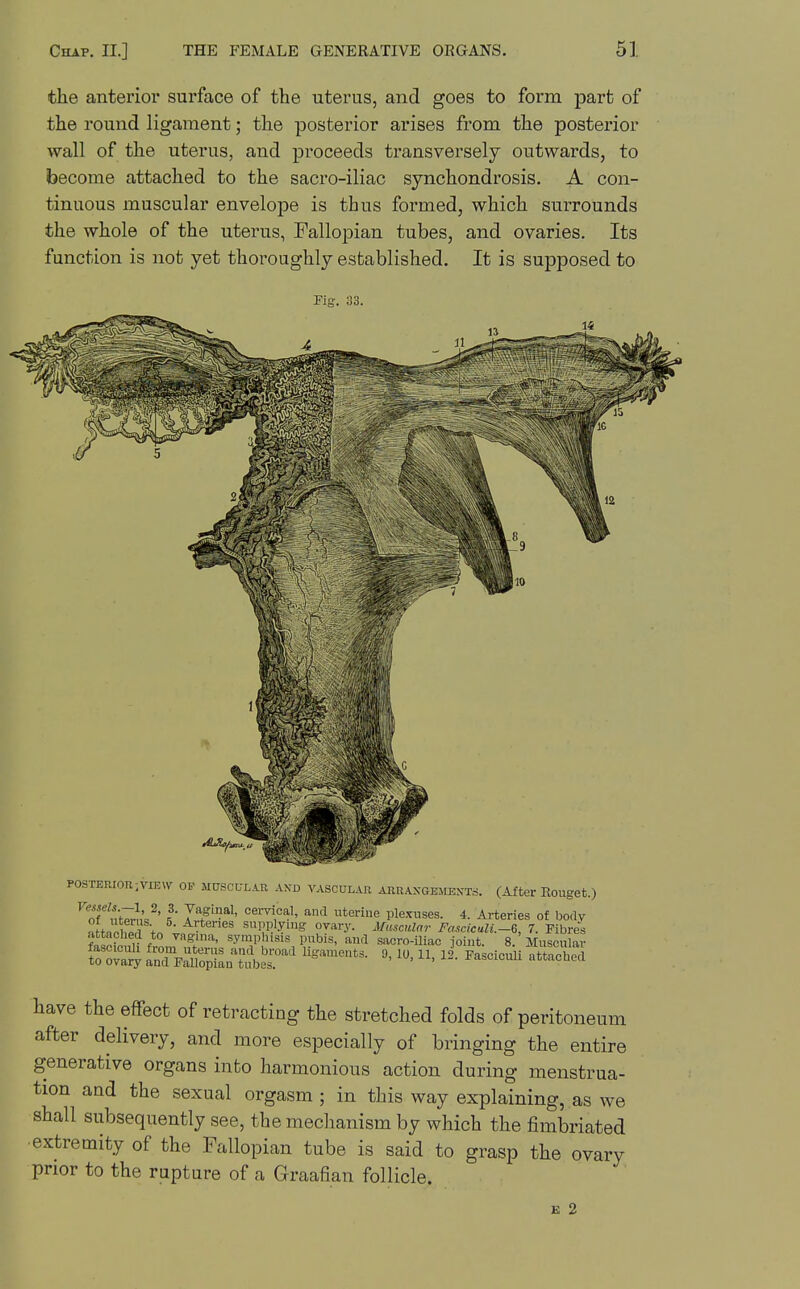 the anterior surface of the uterus, and goes to form part of the round ligament; the posterior arises from the posterior wall of the uterus, and proceeds transversely outwards, to become attached to the sacro-iliac synchondrosis. A con- tinuous muscular envelope is thus formed, which surrounds the whole of the uterus, Falloi^ian tubes, and ovaries. Its function is not yet thoroughly established. It is supposed to Fig. 33. POSTERIOR;VIEW OP MUSCULAR AXD VASCULAR ARUASGEIIESTS. (After Eouget.) ^nf^'/,;7r!,'=^' I y^'*'' and uterine ple.Tuses. 4. Arteries of body °Jt»^Zr\J' -^Vt<=es supplying ovary. Mnsculnr Fasciculi.-G, 7. Fibres faciculi ftoJ^lft?' P^bis, and sacro-Uiac joint. 8.'Muscular ?or:ilrFatopiL't;^.er' have the effect of retracting the stretched folds of peritoneum after delivery, and more especially of bringing the entire generative organs into harmonious action during menstrua- tion and the sexual orgasm ; in this way explaining, as we shall subsequently see, the mechanism by which the fimbriated ■extremity of the Fallopian tube is said to grasp the ovary prior to the rapture of a Graafian follicle. £ 2