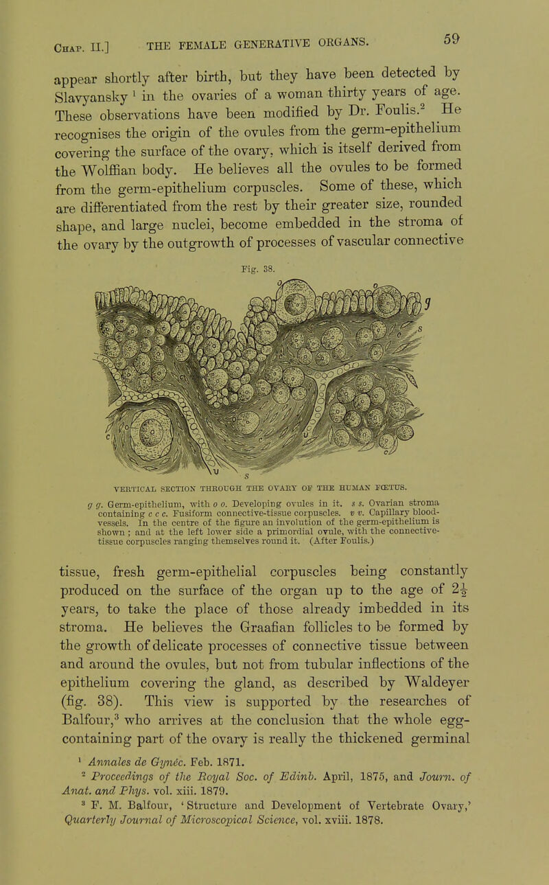 appear shortly after birth, but they have been detected by Slavyansky ^ in the ovaries of a woman thirty years of age. These observations have been modified by Dr. Foulis.^ He recognises the origin of the ovules from the germ-epithelium covering the surface of the ovary, which is itself derived from the Wolffian body. He believes all the ovules to be formed from the germ-epithelium corpuscles. Some of these, which are differentiated from the rest by their greater size, rounded shape, and large nuclei, become embedded in the stroma of the ovary by the outgrowth of processes of vascular connective Pig. 38. VEBTICAL SECTION THROUGH THE OVAKY OF THE HUMAN TOETUS. <7 g. Germ-epithelium, with o o. Developing ovules in it. s s. Ovarian stroma containing c c c. Fusiform connective-tissue corpuscles, v v. Capillary blood- vessels. In the centre of the figure an involution of the germ-epithelium is shown ; and at the left lower side a primordial ovule, with the connective- tissue corpuscles ranging themselves round it. (After Poulis.) tissue, fresh germ-epithelial corpuscles being constantly produced on the surface of the organ up to the age of 2^ years, to take the place of those already imbedded in its stroma. He believes the Graafian follicles to be formed by the growth of delicate processes of connective tissue between and around the ovules, but not from tubular inflections of the epithelium covering the gland, as described by Waldeyer (fig. 38). This view is supported by the researches of Balfour,^ who arrives at the conclusion that the whole egg- containing part of the ovary is really the thickened germinal ' Annales de Gyndc. Feb. 1871. ^ Proceedings of the Royal Soc. of Edinh. April, 1875, and Joum. of Anat. and Fliys. vol. xiii. 1879. ^ F. M. Balfour, ' Structure and Development of Vertebrate Ovary,' Quarterly Journal of Microscopical Science, vol. xviii. 1878.