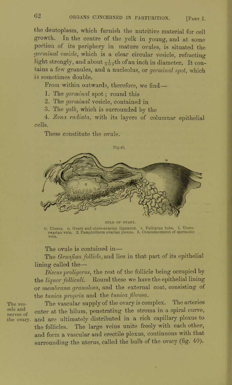 the deutoplasm, which furnish the nutritive material for cell growth. In the centre of the yelk in young, and at some portion of its periphery in mature ovules, is situated the (jerminal vesicle, which is a clear circular vesicle, refracting light strongly, and about ^}jjjth. of an inch in diameter. It con- tains a few granules, and a nucleolus, or germinal npot, which is sometimes double. From within outwards, therefore, we find— 1. The germinal spot; round this 2. The germinal vesicle, contained in 3. The yelk, which is surrounded by the 4. Zona radiata, with its layers of columnar epithelial cells. These constitute the ovule. Fig.40. BULB OP OVAnV. IT. Uterus. 0. Ovary and utero-ovarian ligament. >: Pallopian tube. 1. Utero- ovarian vein. 2. Pampiniform ovariau plexus. 3. Commencement of spermitie vein. The ovule is contained in— The Graafian follicle, and lies in that part of its epithelial lining called the— Discus proligerus, the rest of the follicle being occupied by the liq_uor folliculi. Bound these we have the epithelial lining or membrana granulosa, and the external coat, consisting of the tunica propria and the tunica fibrosa. The ves- The vascular supply of the ovary is complex. The arteries nerves of hilum, penetrating the stroma in a spiral curve, the ovary, and are ultimately distributed in a rich capillary plexus to the follicles. The large veins unite freely with each other, and form a vascular and erectile plexus, continuous with that surrounding the uterus, called the bulb of the ovary (fig. 40).