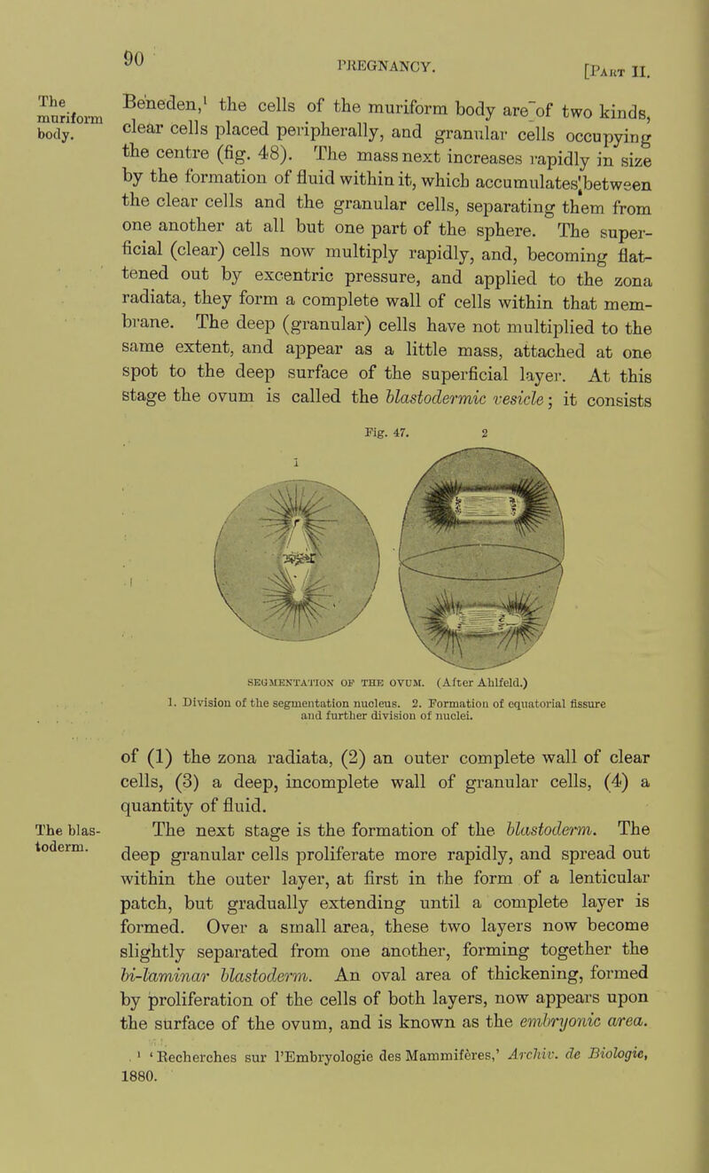 The mnrifomi body. PREGNANCY. [Pakt II. Beneden/ the cells of the muriform body are~of two kinds, clear cells placed peripherally, and granular cells occupying the centre (fig. 48), The mass next increases i-apidly in size by the formation of fluid within it, which accumulates;betwsen the clear cells and the granular cells, separating them from one another at all but one part of the sphere. The super- ficial (clear) cells now multiply rapidly, and, becoming flat- tened out by excentric pressure, and applied to the zona radiata, they form a complete wall of cells within that mem- brane. The deep (granular) cells have not multiplied to the same extent, and appear as a little mass, attached at one spot to the deep surface of the superficial layer. At this stage the ovum is called the blctstodevniic vbsicIb ; it consists Fig. 47. SEailENTATIOX OF THE OVDM. (After Ablfeld.) 1. Division of the segmentation nucleus. 2. Pormatiou of equatorial fissure and furtlier division of nuclei. The blas- toderm. of (1) the zona radiata, (2) an outer complete wall of clear cells, (3) a deep, incomplete wall of granular cells, (4) a quantity of fluid. The next stage is the formation of the hlastodem. The deep granular cells proliferate more rapidly, and spread out within the outer layer, at first in the form of a lenticular patch, but gradually extending until a complete layer is formed. Over a small area, these two layers now become slightly separated from one another, forming together the hi-laminar blastoderm. An oval area of thickening, formed by proliferation of the cells of both layers, now appears upon the surface of the ovum, and is known as the embnjonic area. ■ ' ' Eecherehes sur TEinbryologie des Mammiferes,' Arcliiv. de Biologic, 1880.
