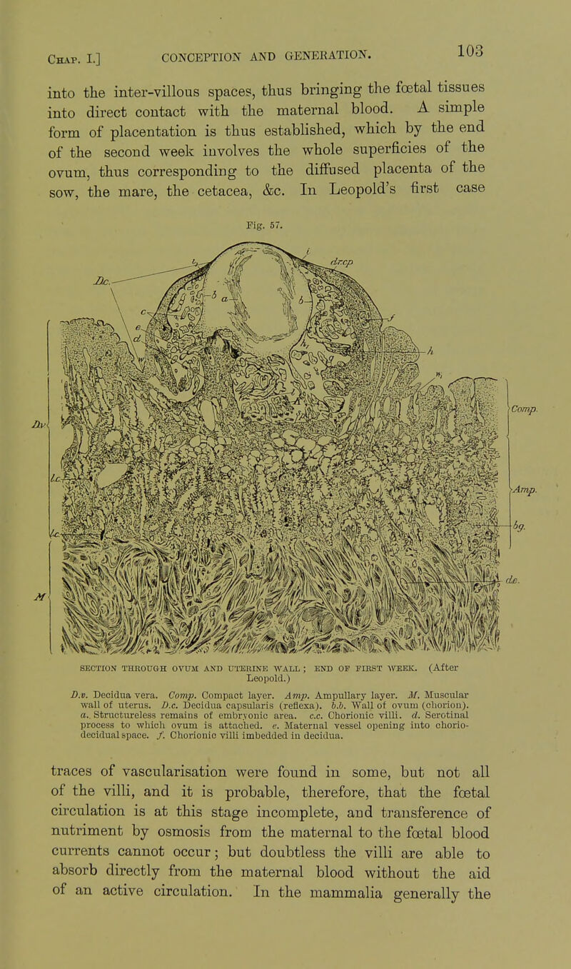 Chap. I.] CONCEPTION AND GENERATION. into the inter-villous spaces, thus bringing the foetal tissues into direct contact with the maternal blood. A simple form of placentation is thus established, which by the end of the second week involves the whole superficies of the ovum, thus corresponding to the diflTused placenta of the sow, the mare, the cetacea, &c. In Leopold's first case Fig. 57. SECTION THROUGH OVUM AND UTERINE WALL ; END OF PIHST 'WEEK. (After Leopold.) D.v. Decidua vera. Comp. Compact layer. Amp. Ampullary layer. M. Muscular wall of uterus. D.c. Decidua capsularis (refiesa). h.h. Wall of ovuua (chorion). a.. Structureless remains of embryonic area. c.c. Chorionic villi, d. Serotinal process to whicli ovum is attached, e. Maternal vessel opening into chorio- decidual space. /. Chorionic villi imbedded in decidua. traces of vascularisation were found in some, but not all of the villi, and it is probable, therefore, that the foetal circulation is at this stage incomplete, and transference of nutriment by osmosis from the maternal to the foetal blood currents cannot occur; but doubtless the villi are able to absorb directly from the maternal blood without the aid of an active circulation. In the mammalia generally the