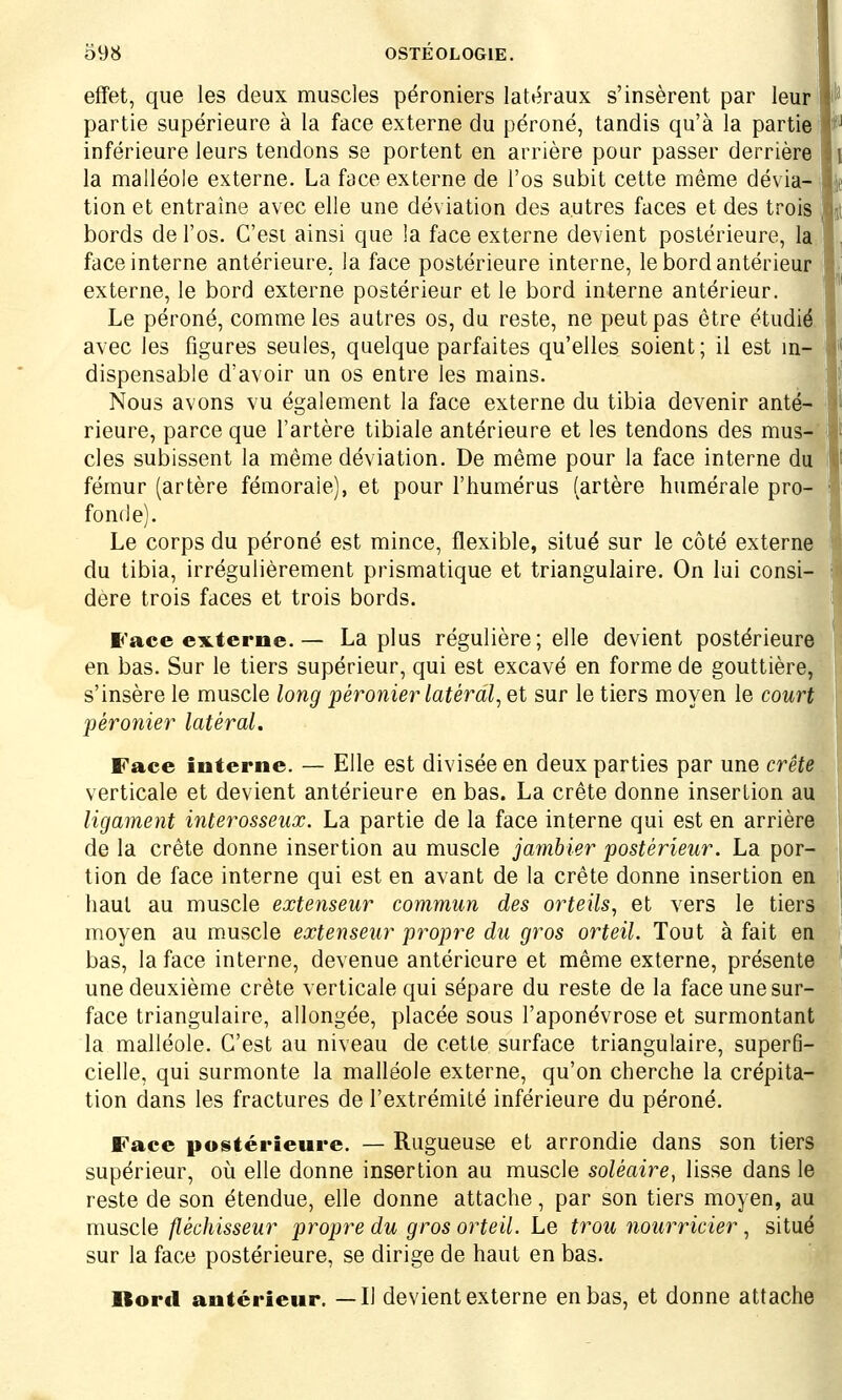 effet, que les deux muscles péroniers latéraux s'insèrent par leur partie supérieure à la face externe du péroné, tandis qu'à la partie inférieure leurs tendons se portent en arrière pour passer derrière la malléole externe. La face externe de l'os subit cette même dévia- • tion et entraîne avec elle une déviation des autres faces et des trois I bords de l'os. C'est ainsi que la face externe devient postérieure, la face interne antérieure, la face postérieure interne, le bord antérieur externe, le bord externe postérieur et le bord interne antérieur. Le péroné, comme les autres os, du reste, ne peut pas être étudié avec les figures seules, quelque parfaites qu'elles soient; il est in- dispensable d'avoir un os entre les mains. Nous avons vu également la face externe du tibia devenir anté- rieure, parce que l'artère tibiale antérieure et les tendons des mus- cles subissent la même déviation. De même pour la face interne du fémur (artère fémorale), et pour l'humérus (artère humérale pro- fonde). Le corps du péroné est mince, flexible, situé sur le côté externe du tibia, irrégulièrement prismatique et triangulaire. On lui consi- dère trois faces et trois bords. l'ace externe. — La plus régulière ; elle devient postérieure en bas. Sur le tiers supérieur, qui est excavé en forme de gouttière, s'insère le muscle long péronier latéral, et sur le tiers moyen le court pêronier latéral. Face interne. — Elle est divisée en deux parties par une crête verticale et devient antérieure en bas. La crête donne insertion au ligament interosseux. La partie de la face interne qui est en arrière de la crête donne insertion au muscle jambier postérieur. La por- tion de face interne qui est en avant de la crête donne insertion en haut au muscle extenseur commun des orteils, et vers le tiers moyen au muscle extenseur propre du gros orteil. Tout à fait en bas, la face interne, devenue antérieure et même externe, présente une deuxième crête verticale qui sépare du reste de la face une sur- face triangulaire, allongée, placée sous l'aponévrose et surmontant la malléole. C'est au niveau de cette surface triangulaire, superfi- cielle, qui surmonte la malléole externe, qu'on cherche la crépita- tion dans les fractures de l'extrémité inférieure du péroné. Face postérieure. — Rugueuse et arrondie dans son tiers supérieur, où elle donne insertion au muscle solèaire, lisse dans le reste de son étendue, elle donne attache, par son tiers moyen, au muscle fléchisseur propre du gros orteil. Le trou nourricier, situé sur la face postérieure, se dirige de haut en bas. Bord antérieur. — Il devient externe en bas, et donne attache