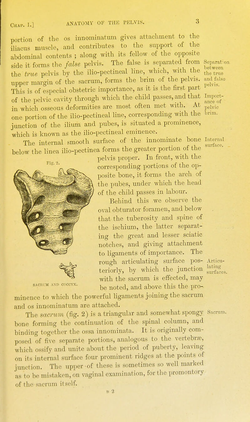 Fig. portion of the os innominatum gives attachment to the iliacus muscle, and contributes to the support of the abdominal contents ; along with its fellow of the opposite side it forms the false pelvis. The false is separated from the true pelvis by the ilio-pectineal line, which, with the upper margin of the sacrum, forms the brim of the pelvis. This is of especial obstetric importance, as it is the first part of the pelvic cavity through which the child passes, and that in which osseous deformities are most often met with. At one portion of the ilio-pectineal line, corresponding with the junction of the ilium and pubes, is situated a prominence, which is known as the ilio-pectineal eminence. The internal smooth surface of the innominate bone below the linea ilio-pectinea forms the greater portion of the pelvis proper. In front, with the corresponding portions of the op- posite bone, it forms the arch of the pubes, under which the head of the child passes in labour. Behind this we observe the oval obturator foramen, and below that the tuberosity and spine of the ischium, the latter separat- ing the great and lesser sciatic notches, and giving attachment to ligaments of importance. The rough articulating surface pos- teriorly, by which the junction with the sacrum is effected, may be noted, and above this the pro- minence to which the powerful ligaments joining the sacrum and os innominatum are attached. The sacrum (fig. 2) is a triangular and somewhat spongy bone forming the continuation of the spinal column, and binding together the ossa innominata. It is originally com- posed of five separate portions, analogous to the vertebrae, which ossify and unite about the period of puberty, leaving on its internal surface four prominent ridges at the points of junction. The upper -of these is sometimes so well marked as to be mistaken, on vaginal examination, for the promontory of the sacrum itself. n 2 Separation between the true and false pelvis. Import- ance of pelvic brim. InternaL surface. Articu- lating surfaces. SAOTtUM AND COCCYX. Sacrum.