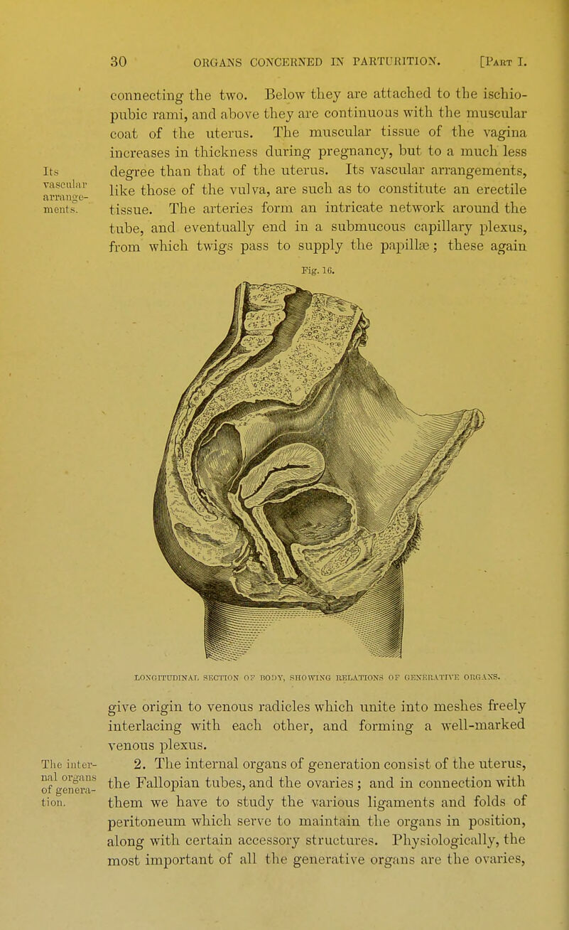 connecting the two. Below tliey are attached to the ischio- pubic rami, and above they are continuous with the muscular coat of the uterus. The muscular tissue of the vagina increases in thickness during pregnancy, but to a much less degree than that of the uterus. Its vascular arrangements, like those of the vulva, are such as to constitute an erectile tissue. The arteries form au intricate network around the tube, and eventually end in a submucous capillary plexus, from which twigs pass to supply the papillae; these again Fig. 1G. LOXrilTUDTHAr. SECTION 07 BODY. SHOWING RELATION'S OF GENERATIVE ORGANS. give origin to venous radicles which unite into meshes freely interlacing with each other, and forming a well-marked venous plexus. The inter- 2. The internal organs of generation consist of the uterus, J*°*SJ!^S the Fallopian tubes, and the ovaries ; and in connection with tion. them we have to study the various ligaments and folds of peritoneum which serve to maintain the organs in position, along with certain accessory structures. Physiologically, the most important of all the generative organs are the ovaries, Its vascular arrange- menl s.