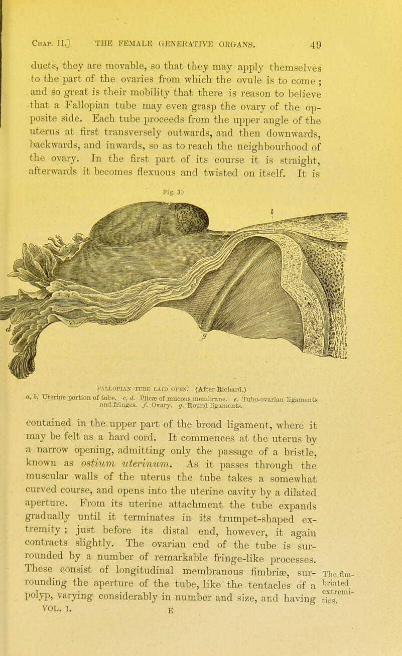 ducts, they are movable, so that they may apply themselves to the part of the ovaries from which the ovule is to come; and so great is their mobility'that there is reason to believe that a Fallopian tube may even grasp the ovary of the op- posite side. Each tube proceeds from the upper angle of the uterus at first transversely outwards, and then downwards, backwards, and inwards, so as to reach the neighbourhood of the ovary. In the first part of its course it is straight, afterwards it becomes flexuous and twisted on itself. It is Fig. 30 fallopian tube laid open. (After Richard.) a, K Uterine portion of tube, c, d. Plica; of mucous membrane, e. Tubo-ovarian ligaments and fringes. /. Ovary, g. Round ligaments. contained in the upper part of the broad ligament, where it may be felt as a hard cord. It commences at the uterus by a narrow opening, admitting only the passage of a bristle, known as ostium uterinum. As it passes through the muscular walls of the uterus the tube takes a somewhat curved course, and opens into the uterine cavity by a dilated aperture. From its uterine attachment the tube expands gradually until it terminates in its trumpet-shaped ex- tremity ; just before its distal end, however, it again contracts slightly. The ovarian end of the tube is sur- rounded by a number of remarkable fringe-like processes. These consist of longitudinal membranous fimbria?, sur- Thefim rounding the aperture of the tube, like the tentacles of a bl™ted polyp, varying considerably in number and size, and having ST' vol. i. R