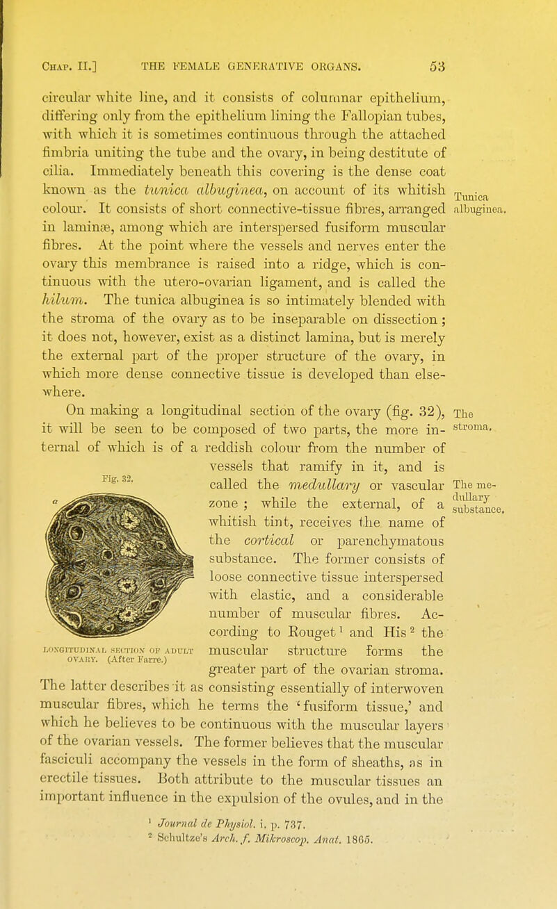 circular white line, and it consists of columnar epithelium, differing only from the epithelium lining the Fallopian tubes, with which it is sometimes continuous through the attached fimbria uniting the tube and the ovary, in being destitute of cilia. Immediately beneath this covering is the dense coat known as the tunica albuginea, on account of its whitish Tunica colour. It consists of short connective-tissue fibres, arranged albuginea. in laminae, among which are interspersed fusiform muscular fibres. At the point where the vessels and nerves enter the ovary this membrance is raised into a ridge, which is con- tinuous with the utero-ovarian ligament, and is called the hilum. The tunica albuginea is so intimately blended with the stroma of the ovary as to be inseparable on dissection; it does not, however, exist as a distinct lamina, but is merely the external part of the proper structure of the ovary, in which more dense connective tissue is developed than else- where. On making a longitudinal section of the ovary (fig. 32), The it will be seen to be composed of two parts, the more in- stroma ternal of which is of a reddish colour from the number of vessels that ramify in it, and is called the medullary or vascular The me- zone i while the external, of a Sunce. whitish tint, receives the name of the cortical or parenchymatous substance. The former consists of loose connective tissue interspersed with elastic, and a considerable number of muscular fibres. Ac- cording to Kouget1 and His2 the LoxorruDiKAi section oj adult muscular structure forms the OVARY. (After 1'arre.) greater part of the ovarian stroma. The latter describes it as consisting essentially of interwoven muscular fibres, which he terms the ' fusiform tissue,' and which he believes to be continuous with the muscular layers of the ovarian vessels. The former believes that the muscular fasciculi accompany the vessels in the form of sheaths, as in erectile tissues. Both attribute to the muscular tissues an important influence in the expulsion of the ovules, and in the 1 Journal cle Physiol, i. p. 737. ■ Schultze'a Arch./. Mikroscop. Anal. 1865.