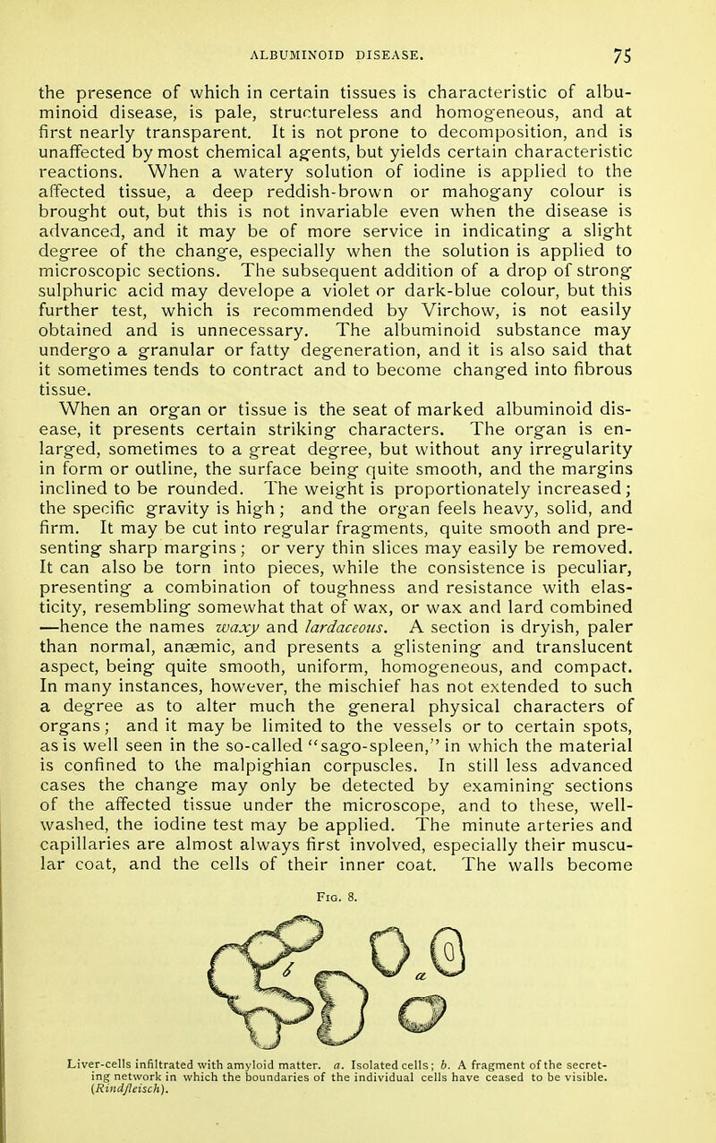 the presence of which in certain tissues is characteristic of albu- minoid disease, is pale, structureless and homogeneous, and at first nearly transparent. It is not prone to decomposition, and is unaffected by most chemical agents, but yields certain characteristic reactions. When a watery solution of iodine is applied to the affected tissue, a deep reddish-brown or mahog'any colour is brought out, but this is not invariable even when the disease is advanced, and it may be of more service in indicating- a slight degree of the change, especially when the solution is applied to microscopic sections. The subsequent addition of a drop of strong sulphuric acid may develope a violet or dark-blue colour, but this further test, which is recommended by Virchow, is not easily obtained and is unnecessary. The albuminoid substance may undergo a granular or fatty degeneration, and it is also said that it sometimes tends to contract and to become changed into fibrous tissue. When an organ or tissue is the seat of marked albuminoid dis- ease, it presents certain striking characters. The organ is en- larged, sometimes to a great degree, but without any irregularity in form or outline, the surface being quite smooth, and the margins inclined to be rounded. The weight is proportionately increased ; the specific gravity is high; and the organ feels heavy, solid, and firm. It may be cut into regular fragments, quite smooth and pre- senting sharp margins; or very thin slices may easily be removed. It can also be torn into pieces, while the consistence is peculiar, presenting a combination of toughness and resistance with elas- ticity, resembling somewhat that of wax, or wax and lard combined —hence the names waxy and lardaceous. A section is dryish, paler than normal, anaemic, and presents a glistening and translucent aspect, being quite smooth, uniform, homogeneous, and compact. In many instances, however, the mischief has not extended to such a degree as to alter much the general physical characters of organs; and it maybe limited to the vessels or to certain spots, as is well seen in the so-called sago-spleen, in which the material is confined to the malpighian corpuscles. In still less advanced cases the change may only be detected by examining sections of the affected tissue under the microscope, and to these, well- washed, the iodine test may be applied. The minute arteries and capillaries are almost always first involved, especially their muscu- lar coat, and the cells of their inner coat. The walls become Fig. Liver-cells infiltrated with amyloid matter, a. Isolated cells; b. A fragment of the secret- ing network in which the boundaries of the individual cells have ceased to be visible. (Rindfleisch).