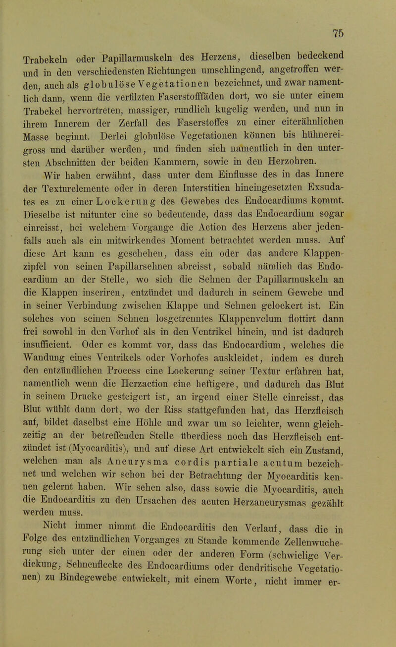 Trabekeln oder Papillarmuskeln des Herzens, dieselben bedeckend und in den verschiedensten Richtungen umschlingend, angetroffen wer- den, auch als globulöseVegetationen bezeichnet, imd zwar nament- lich dann, wenn die verfilzten Faserstofffaden dort, wo sie unter einem Trabekel hervortreten, massiger, rundlich kugelig werden, und nun in ihrem Innerem der Zerfall des Faserstoffes zu einer eiterähnlichen Masse beginnt. Derlei globulöse Vegetationen können bis hühnerei- gross imd darüber werden, und finden sich namentlich in den unter- sten Abschnitten der beiden Kammern, sowie in den Herzohren. Wir haben erwähnt, dass unter dem Einflüsse des in das Innere der Texturelemente oder in deren Interstitien hineingesetzten Exsuda- tes es zu einer Lockerung des Gewebes des Endocardiums kommt. Dieselbe ist mitunter eine so bedeutende, dass das Endocardium sogar einreisst, bei welchem Vorgänge die Action des Herzens aber jeden- falls auch als ein mitwirkendes Moment betrachtet werden muss. Auf diese Art kann es geschehen, dass ein oder das andere Klappen- zipfel von seinen Papillarsehnen abreisst, sobald nämlich das Endo- cardium an der Stelle, wo sich die Sehnen der Papillarmuskeln an die Klappen inseriren, entzündet und dadurch in seinem Gewebe und in seiner Verbindung zwischen Klappe und Sehnen gelockert ist. Ein solches von seinen Seimen losgetrenntes Klappenvclum flottirt dann frei sowohl in den Vorhof als in den Ventrikel hinein, und ist dadurch insufficient. Oder es kommt vor, dass das Endocardium, welches die Wandung eines Ventrikels oder Vorhofes auskleidet, indem es durch den entzündlichen Process eine Lockerung seiner Textur erfahren hat, namentlich wenn die Herzaction eine heftigere, und dadurch das Blut in seinem Drucke gesteigert ist, an irgend einer Stelle cinreisst, das Blut wühlt dann dort, wo der Riss stattgefunden hat, das Herzfleisch auf, bildet daselbst eine Höhle und zwar um so leichter, wenn gleich- zeitig an der betreffenden Stelle überdiess noch das Herzfleisch ent- zündet ist (Myocarditis), und auf diese Art entwickelt sich ein Zustand, welchen man als Aneurysma cordis partiale acutum bezeich- net und welchen wir schon bei der Betrachtung der Myocarditis ken- nen gelernt haben. Wir sehen also, dass sowie die Myocarditis, auch die Endocarditis zu den Ursachen des acuten Herzaneurysmas gezählt werden muss. Nicht immer nimmt die Endocarditis den Verlauf, dass die in Folge des entzündlichen Vorganges zu Stande kommende Zellenwuche- rung sich unter der einen oder der anderen Form (schwielige Ver- dickung, Sehnenflecke des Endocardiums oder dendritische Vegetatio- nen) zu Bindegewebe entwickelt, mit einem Worte, nicht immer er-