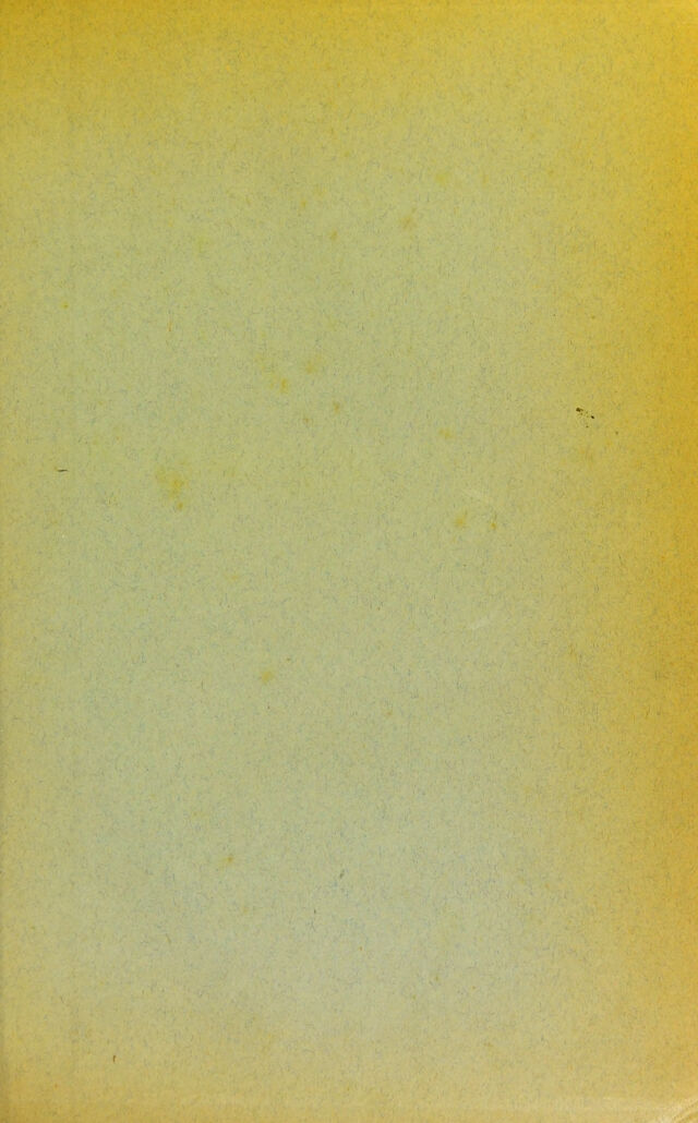 digitised image 3