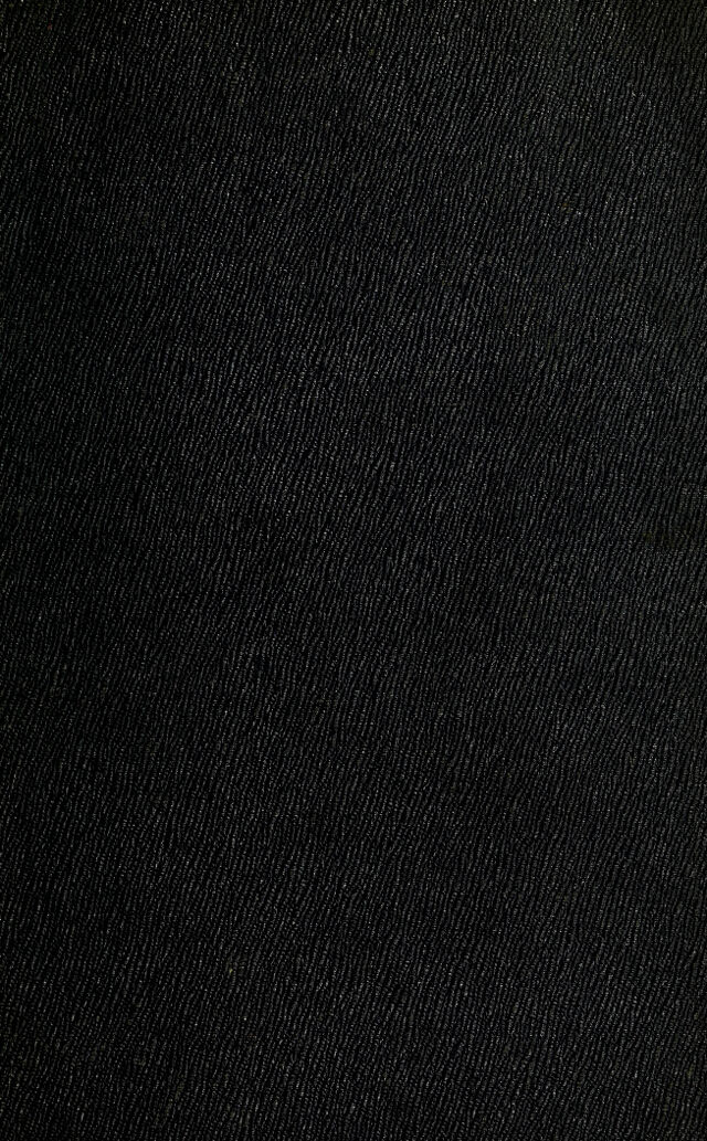 digitised image 1