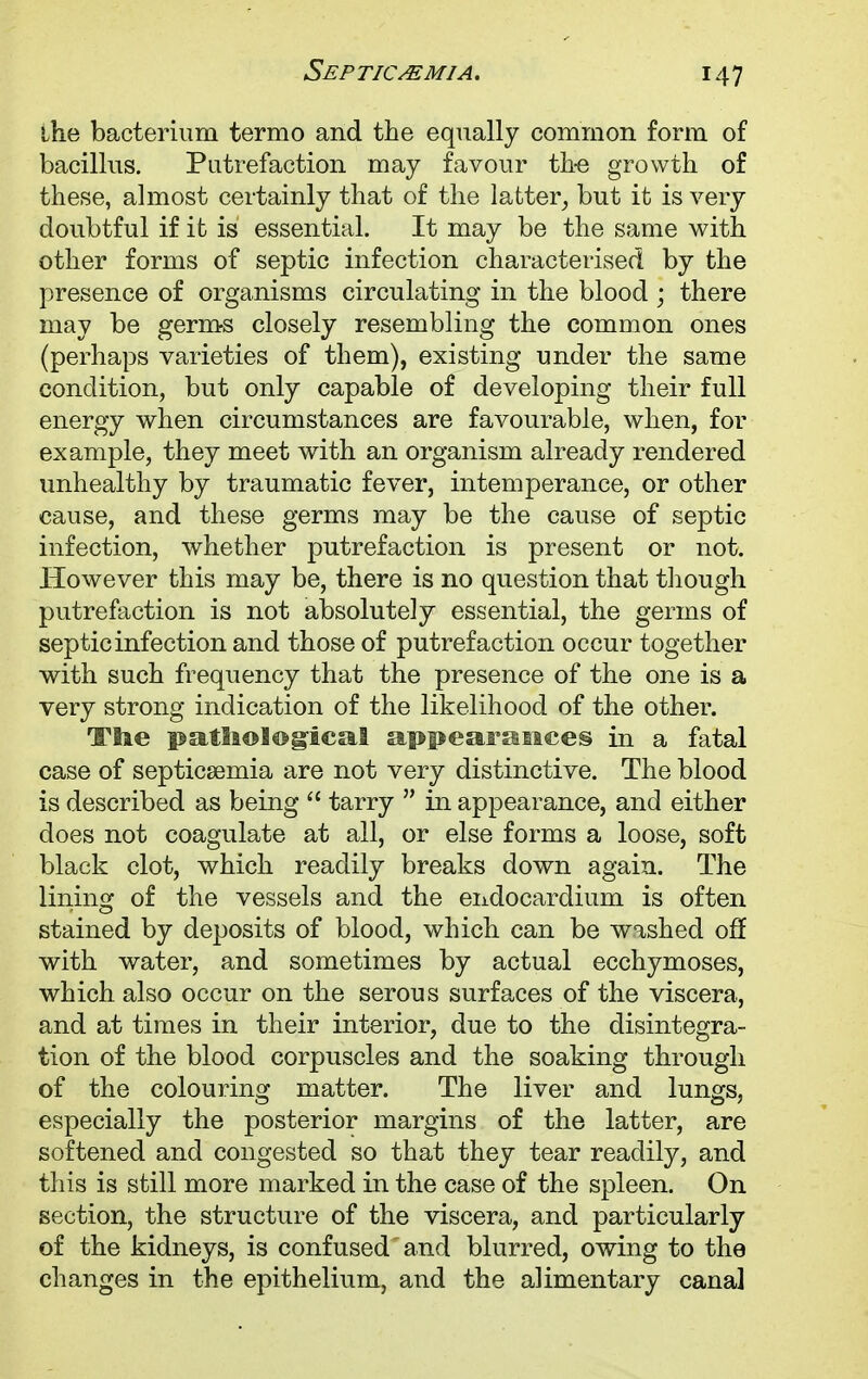the bacterium termo and the equally common form of bacillus. Putrefaction may favour the growth of these, almost certainly that of the latter, but it is very doubtful if it is essential. It may be the same with other forms of septic infection characterised by the presence of organisms circulating in the blood ; there may be germs closely resembling the common ones (perhaps varieties of them), existing under the same condition, but only capable of developing their full energy when circumstances are favourable, when, for example, they meet with an organism already rendered unhealthy by traumatic fever, intemperance, or other cause, and these germs may be the cause of septic infection, whether putrefaction is present or not. However this may be, there is no question that though putrefaction is not absolutely essential, the germs of septic infection and those of putrefaction occur together with such frequency that the presence of the one is a very strong indication of the likelihood of the other. The pathological appearances in a fatal case of septicaemia are not very distinctive. The blood is described as being  tarry  in appearance, and either does not coagulate at all, or else forms a loose, soft black clot, which readily breaks down again. The lining of the vessels and the endocardium is often stained by deposits of blood, which can be washed off with water, and sometimes by actual ecchymoses, which also occur on the serous surfaces of the viscera, and at times in their interior, due to the disintegra- tion of the blood corpuscles and the soaking through of the colouring matter. The liver and lungs, especially the posterior margins of the latter, are softened and congested so that they tear readily, and this is still more marked in the case of the spleen. On section, the structure of the viscera, and particularly of the kidneys, is confused and blurred, owing to the changes in the epithelium, and the alimentary canal