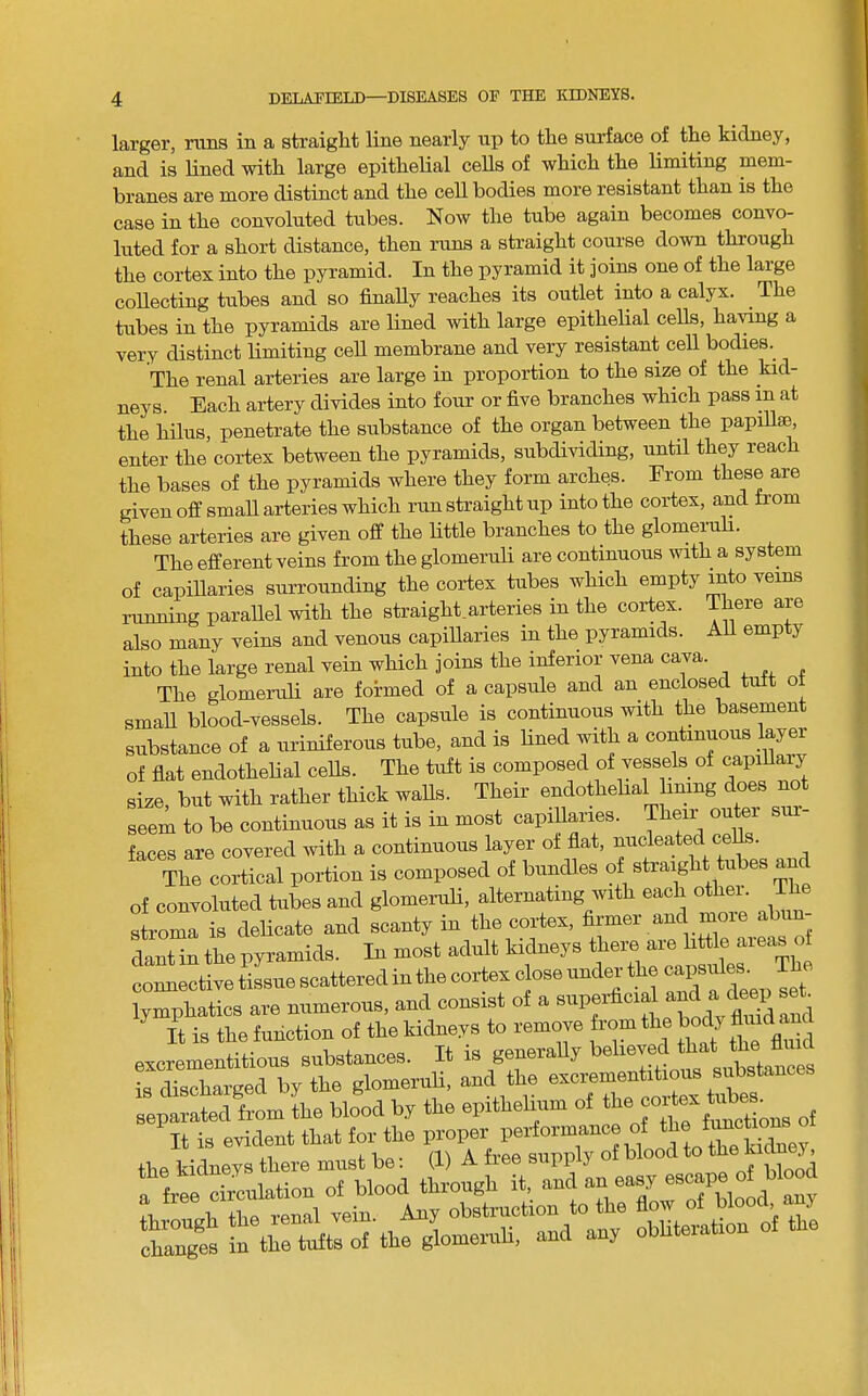 larger, runs in a straight line nearly up to the surface of the kidney, and is lined with large epithelial cells of which the limiting mem- branes are more distinct and the cell bodies more resistant than is the case in the convoluted tubes. Now the tube again becomes convo- luted for a short distance, then runs a straight course down through the cortex into the ijyramid. In the pyramid it joins one of the large collecting tubes and so finally reaches its outlet into a calyx. The tubes in the pyramids are lined with large epithelial cells, ha’nng a very distinct limiting cell membrane and very resistant ceU bodies.^ The renal arteries are large in proportion to the size of the kid- neys. Each artery divides into four or five branches which pass in at the hiliis, penetrate the substance of the organ between the papiUae, enter the cortex between the pyramids, subdividing, until they reach the bases of the pyramids where they form arches. From these are given off small arteries which run straight up into the cortex, and from these arteries are given off the little branches to the glomeruli. The efferent veins from the glomeruli are continuous with a system of capiUaries surrounding the cortex tubes which empty into veins running parallel with the straight.arteries in the cortex, ihere are also many veins and venous capillaries in the pyramids. All emp y into the large renal vein which joins the inferior vena cava. The glomeruli are formed of a capsule and an enclosed t o smaU blood-vessels. The capsule is continuous with the basement substance of a iiriniferous tube, and is lined with a continuous layei of flat endothelial cells. The tuft is composed of vessels of capiUaiy size, but with rather thick waUs. Their endothehal hmng does not seem to be continuous as it is in most capillaries. Then outei faces are covered with a continuous layer of flat, nucleated cells. The cortical portion is composed of bundles of straight tubes and of convoluted tubes and glomeruli, alternating with each other. The stroma is delicate and scanty in the cortex, firmer and moie abun- dant in the pyramids. In most adult kidneys there are httle areas of connective tissue scattered in the cortex close under the set lymphatics are numerous, and consist of a li is the function of the kidneys to remove f^ excrementitious substances. It is generaUy Ss il: rWteof the glomemU. and any obliteraUon of the