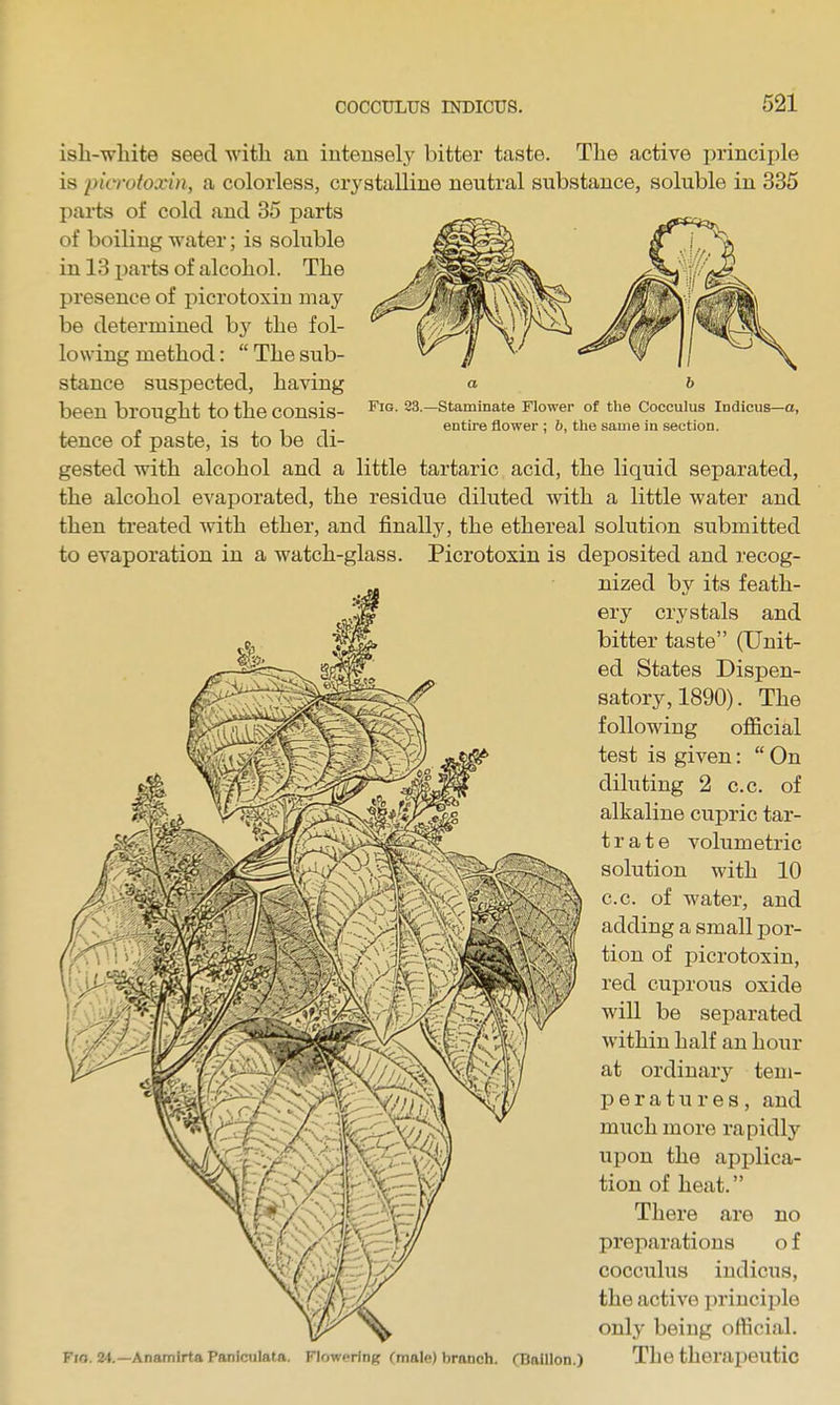 Fig. 23.—Staminate Flower of the Coceulus lodicus—a, entire flower ; b, the same in section. isli-wliite seed with an intensely bitter taste. The active princii)le is purotoxin, a colorless, crystalline neutral substance, soluble in 335 parts of cold and 35 parts of boiling water; is soluble in 13 i^arts of alcohol. The presence of picrotoxin may be determined by the fol- lowing method:  The sub- stance suspected, having been brought to the consis- tence of paste, is to be di- gested with alcohol and a little tartaric acid, the liquid separated, the alcohol evaporated, the residue diluted with a little water and then treated Avith ether, and finally, the ethereal solution submitted to evaporation in a watch-glass. Picrotoxin is deposited and recog- nized by its feath- ery crystals and bitter taste (Unit- ed States Dispen- satory, 1890). The following official test is given:  On diluting 2 c.c. of alkaline cupric tar- trate volumetric solution with 10 c.c. of water, and adding a small por- tion of picrotoxin, red cuprous oxide will be separated within half an hour at ordinary tem- peratures, and much more rapidly upon the apj)lica- tion of heat. There are no preparations o f coceulus indicus, the active principle only being official. Fio. 24.—AnamirtaPanlctilata. Flowering (male) branch. CBnIllon.) The therapeutic