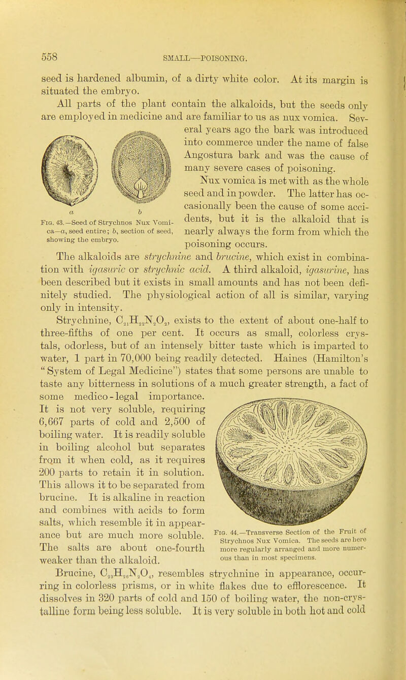 At its margin is FiQ. 43.—Seed of Strychnos Nux Vomi- ca—a, seed entire; 6, section of seed, showing the embryo. seed is hardened albumin, of a dirty white color, situated the embryo. All parts of the plant contain the alkaloids, but the seeds only are employed in medicine and are familiar to us as nux vomica. Sev- eral years ago the bark was introduced into commerce under the name of false Angostura bark and was the cause of many severe cases of poisoning. Nux vomica is met with as the whole seed aud in powder. The latter has oc- casionally been the cause of some acci- dents, but it is the alkaloid that is nearly always the form from which the poisoning occurs. The alkaloids are strychnine and brucine, which exist in combina- tion with igasuric or strychnic acid. A third alkaloid, igasurine, has been described but it exists in small amounts and has not been defi- nitely studied. The physiological action of all is similar, varying only in intensity. Strychnine, CjiH^^NjO,, exists to the extent of about one-half to three-fifths of one per cent. It occurs as small, colorless crys- tals, odorless, but of an intensely bitter taste which is imparted to water, 1 part in 70,000 being readily detected. Haines (Hamilton's  System of Legal Medicine) states that some persons are unable to taste any bitterness in solutions of a much greater strength, a fact of some medico - legal importance. It is not very soluble, requiring 6,667 parts of cold and 2,500 of boiling water. It is readily soluble in boiling alcohol but separates frQm it when cold, as it requires 200 parts to retain it in solution. This allows it to be separated from brucine. It is alkaline in reaction and combines with acids to form salts, which resemble it in appear- ance but are much more soluble. The salts are about one-fourth weaker than the alkaloid. Brucine, C.,,H.,„N,0^, resembles sti-ychniue in appearance, occur- ring in colorless prisms, or in white flakes due to effloresceuce. It dissolves in 320 parts of cold and 150 of boiling water, the non-crys- talline form being less soluble. It is very soluble in both hot aud cold Fig. 44.—Transverse Section of the Fruit of Strychnos Nux Vomica. The seeds are liero more regularly arranged and more numer- ous than in most specimens.