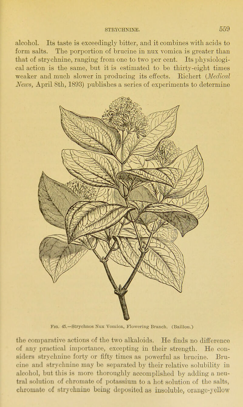 alcohol. Its taste is exceedinglj^ bitter, and it combines with acids to form salts. The i)orportion of brucine in nux vomica is greater than that of strychnine, ranging from one to two per cent. Its physiologi- cal action is the same, but it is estimated to be thirty-eight times weaker and much slower in producing its effects. Richert {31edical News, April 8th, 1893) publishes a series of experiments to determine Fio. 45.—Strychnos Nux Vomica, Flowering Brancli. CBaillou.) the comparative actions of the two alkaloids. He finds no difference of any practical iinjjortance, excepting in their strength. He con- siders strychnine forty or fifty times as powerful as brucine. Bru- cine and strychnine may be separated by their relative solubility iu alcohol, but this is more thoroughly accomplished by adding a neu- tral solution of chromate of ])otassium to a liot solution of the salts, chromate of strychuiuo being deposited as insoluble, oruugc-yellow
