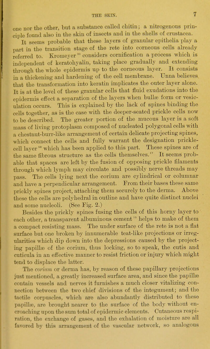 one nor the other, hut a substance called chitin; a nitrogenous prin- ciple found also in the skin of insects and in the shells of Crustacea. It seems probable that these layers of granular epithelia play a part in the transition stage of the rete into corneous cells already referred to. Kromeyer35 considers cornification a process which is independent of keratohyalin, taking place gradually and extending through the whole epidermis up to the corneous layer. It consists in a thickening and hardening of the cell membrane. Unna believes that the transformation into keratin implicates the outer layer alone. It is at the level of these granular cells that fluid exudations into the epidermis effect a separation of the layers when bullae form or vesic- ulation occurs. This is explained by the lack of spines binding the cells together, as is the case with the deeper-seated prickle cells now to be described. The greater portion of the mucous layer is a soft mass of living protoplasm composed of nucleated polygonal cells with a chestnut-burr-like arrangement of certain delicate projecting spines, which connect the cells and fully warrant the designation prickle- cell layer66 which has been applied to this part. These spines are of the same fibrous structure as the cells themselves.17 It seems prob- able that spaces are left by the fusion of opposing prickle filaments through which lymph may circulate and possibly nerve threads may pass. The cells lying next the corium are cylindrical or columnar and have a perpendicular arrangement. From their bases these same prickly spines project, attaching them securely to the derma. Above these the cells are polyhedral in outline and have quite distinct nuclei and some nucleoli. (See Fig. 2.) Besides the prickly spiues fusing the cells of this horny layer to each other, a transparent albuminous cement16 helps to make of them a compact resisting mass. The under surface of the rete is not a flat surface but one broken by innumerable teat-like projections or irreg- ularities which dip down into the depressions caused by the project- ing papillm of the corium, thus locking, so to speak, the cutis and cuticula in an effective manner to resist friction or injury which might tend to displace the latter. The ccniurn or derma has, by reason of these papillary projections just mentioned, a greatly increased surface area, and since the papillm contain vessels and nerves it furnishes a much closer vitalizing con- nection between the two chief divisions of the integument; and the tactile corpuscles, which are also abundantly distributed to these papilhe, are brought nearer to the surface of the body without en- croaching upon the sum total of epidermic elements. Cutaneous respi- ration, the exchange of gases, and the exhalation of moisture are all favored by this arrangement of the vascular network, so analogous