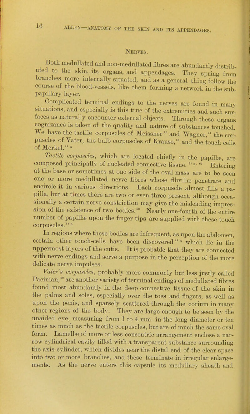Nerves. Both medullatecl and non-medullated fibres are abundantly distrib- uted to the skin, its organs, and appendages. They spring from branches more internally situated, and as a general thing follow the course of the blood-vessels, like them forming a network in the sub- papillary layer. Complicated terminal endings to the nerves are found in many situations, and especially is this true of the extremities and such sur- faces as naturally encounter external objects. Through these organs cognizance is taken of the quality and nature of substances touched. We have the tactile corpuscles of Meissner43 and Wagner,” the cor- puscles of Yater, the bulb corpuscles of Krause,33 and the touch cells of Merkel.44 a Tactile corpuscles, which are located chiefly in the papilke, are composed principally of nucleated connective tissue. 37 a’ 03 Entering at the base or sometimes at one side of the oval mass are to be seen one or more medullated nerve fibres whose fibrilhe penetrate and encircle it in various directions. Each corpuscle almost fills a pa- pilla, but at times there are two or even three present, although occa- sionally a certain nerve constriction may give the misleading impres- sion of the existence of two bodies.60 Nearly one-fourth of the entire number of papillse upon the finger tips are supplied with these touch corpuscles.43 a In regions where these bodies are infrequent, as upon the abdomen, certain other touch-cells have been discovered44 a which lie in the uppermost layers of the cutis. It is probable that they are connected with nerve endings and serve a purpose in the perception of the more delicate nerve impulses. Vater’s corpuscles, probably more commonly but less justly called Pacinian,50 are another variety of terminal endings of medullated fibres found most abundantly in the deep connective tissue of the skin in the palms and soles, especially over the toes and fingers, as well as upon the penis, and sparsely scattered through the coriurn in many other regions of the body. They are large enough to be seen by the unaided eye, measuring from 1 to 4 mm. in the long diameter or ten times as much as the tactile corpuscles, but are of much the same oval form. Lamellae of more or less concentric arrangement enclose a nar- row cylindrical cavity filled with a transparent substance surrounding the axis cylinder, which divides near the distal end of the clear space into two or more branches, and these terminate in irregular enlarge- ments. As the nerve enters this capsule its medullary sheath and