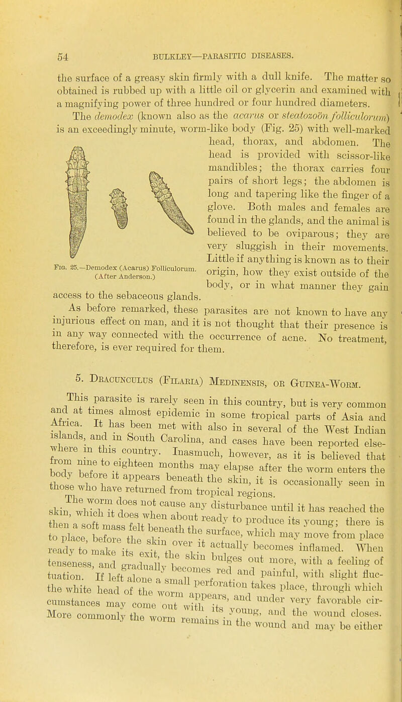 the surface of a greasy skin firmly with a dull knife. The matter so obtained is rubbed up with a little oil or glycerin and examined with . a magnifying power of three hundred or four hundred diameters. The democlex (known also as the acarus or steatozoon folliculorum) ‘ is an exceedingly minute, worm-like body (Fig. 25) with well-marked head, thorax, and abdomen. The head is provided with scissor-like mandibles; the thorax carries four pairs of short legs; the abdomen is long and tapering like the finger of a glove. Both males and females are found in the glands, and the animal is believed to be oviparous; they are very sluggish in their movements. Little if anything is known as to their origin, how they exist outside of the body, or in what manner they gain access to the sebaceous glands. As befoie remarked, these parasites are not known to have any 1 injurious effect on man, and it is not thought that their presence is in any way connected with the occurrence of acne. No treatment, therefore, is ever recjuired for them. 5. Dracunculus (Filaria) Medinensis, or Guinea-Worm. This parasite is rarely seen in this country, but is very common and at times almost epidemic in some tropical parts of Asia and uca. It has been met with also in several of the West Indian slands, and m South Carolina, and cases have been reported else- f *U ,HS c°untry. Inasmuch, however, as it is believed that 1)0 . pj eighteen m™ths may elapse after the worm enters the Tara,hrathth6 Skin’ 11 is occasionally seen in those who have returned from tropical regions. skin which Tt U<f Ca'll'^e auy disturbance until it bas reached the then a soft ab°ut »■* to Produce its young; there is to place before8 tl6 f.U6atl1 tke aurface, which may move from place £r1Iy 'Tomes the white head of the worn peiioratlon takes place, through which eiimstances “w favorable cir- More commonly tlie worm remaine 1 Jh B’ the oloses' in the wound and may be either