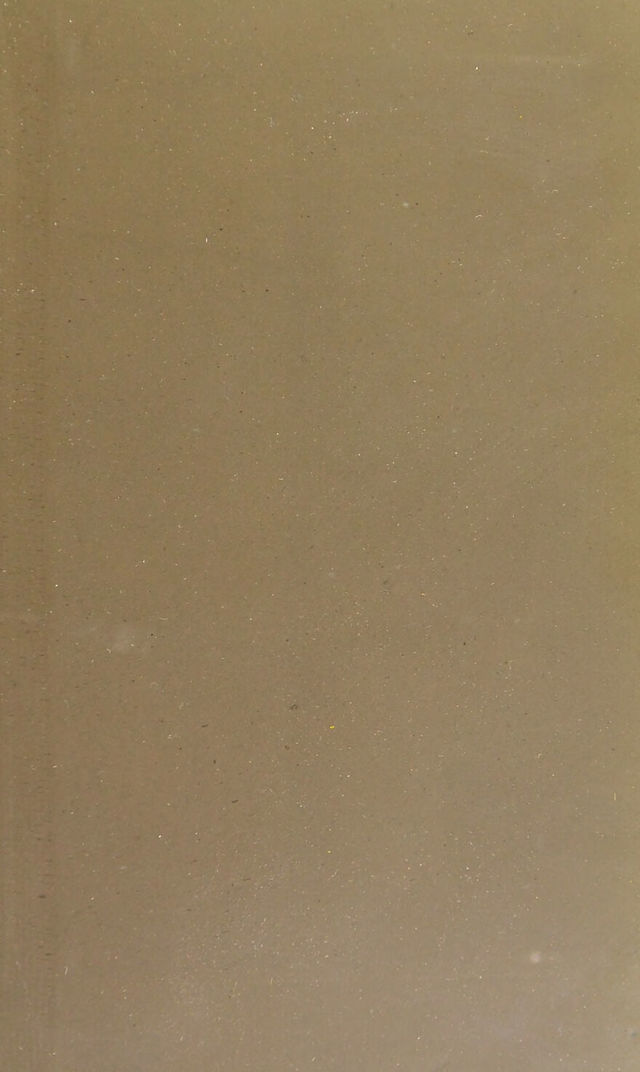 digitised image 3