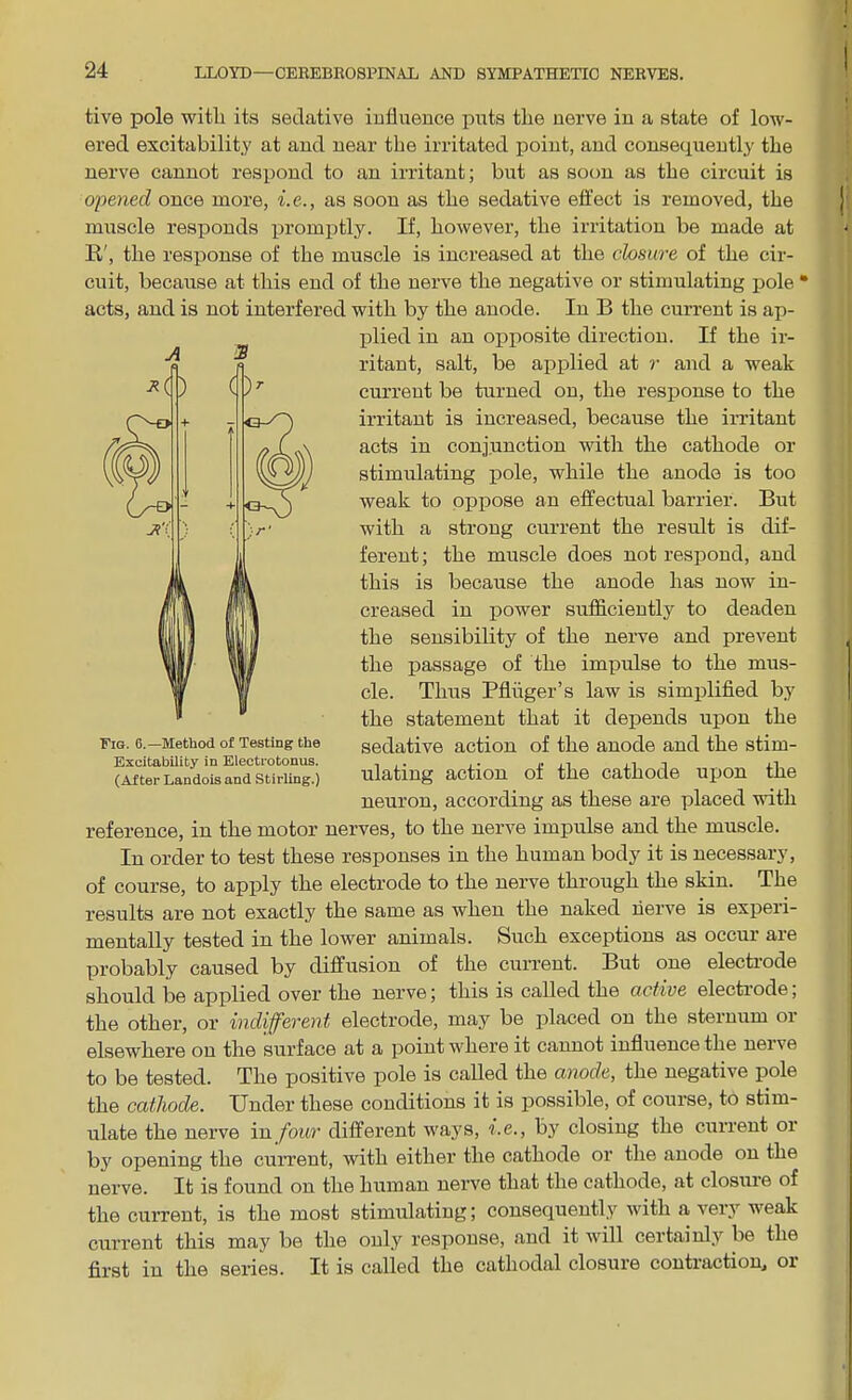 tive pole with its sedative influence puts the nerve in a state of low- ered excitability at and near the irritated point, and consequently the nerve cannot respond to an irritant; but as soon as the circuit is opened once more, he., as soon as the sedative effect is removed, the muscle responds promptly. If, however, the irritation be made at Li', the response of the muscle is increased at the closure of the cir- cuit, because at this end of the nerve the negative or stimulating pole * acts, and is not interfered with by the anode. In B the current is ap- plied in an opposite direction. If the ir- ritant, salt, be applied at r and a wreak current be turned on, the response to the irritant is increased, because the irritant acts in conjunction with the cathode or stimulating pole, while the anode is too weak to oppose an effectual barrier. But with a strong current the result is dif- ferent; the muscle does not respond, and this is because the anode has now in- creased in power sufficiently to deaden the sensibility of the nerve and prevent the passage of the impulse to the mus- cle. Thus Pfliiger’s law is simplified by the statement that it depends upon the sedative action of the anode and the stim- ulating action of the cathode upon the neuron, according as these are placed with reference, in the motor nerves, to the nerve impulse and the muscle. In order to test these responses in the human body it is necessary, of course, to apply the electrode to the nerve through the skin. The results are not exactly the same as when the naked nerve is experi- mentally tested in the lower animals. Such exceptions as occur are probably caused by diffusion of the current. But one electrode should be applied over the nerve; this is called the active electiode, the other, or indifferent electrode, may be placed on the sternum or elsewhere on the surface at a point where it cannot influence the nerve to be tested. The positive pole is called the anode, the negative pole the cathode. Under these conditions it is possible, of course, to stim- ulate the nerve in four different ways, i.e., by closing the current or by opening the current, with either the cathode or the anode on the nerve. It is found on the human nerve that the cathode, at closure of the current, is the most stimulating; consequently with a, very weak current this may be the only response, and it will certainly be the first in the series. It is called the cathodal closure contraction, or A S Fig. 6. —Method of Testing the Excitability in Electrotonus. (After Landois and Stirling.)