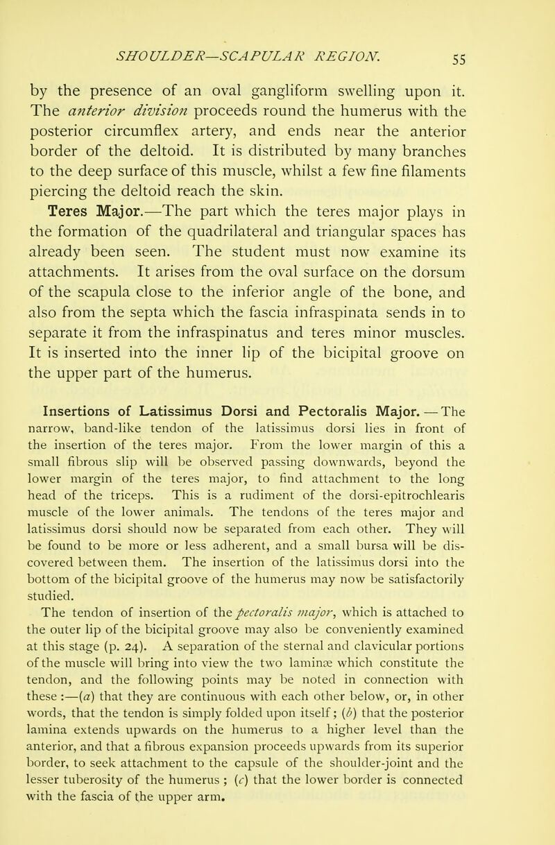 by the presence of an oval gangliform swelling upon it. The anterior division proceeds round the humerus with the posterior circumflex artery, and ends near the anterior border of the deltoid. It is distributed by many branches to the deep surface of this muscle, whilst a few fine filaments piercing the deltoid reach the skin. Teres Major.—The part which the teres major plays in the formation of the quadrilateral and triangular spaces has already been seen. The student must now examine its attachments. It arises from the oval surface on the dorsum of the scapula close to the inferior angle of the bone, and also from the septa which the fascia infraspinata sends in to separate it from the infraspinatus and teres minor muscles. It is inserted into the inner lip of the bicipital groove on the upper part of the humerus. Insertions of Latissimus Dorsi and Pectoralis Major.—The narrow, band-like tendon of the latissimus dorsi lies in front of the insertion of the teres major. From the lower margin of this a small fibrous slip will be observed passing downwards, beyond the lower margin of the teres major, to find attachment to the long head of the triceps. This is a rudiment of the dorsi-epitrochlearis muscle of the lower animals. The tendons of the teres major and latissimus dorsi should now be separated from each other. They will be found to be more or less adherent, and a small bursa will be dis- covered between them. The insertion of the latissimus dorsi into the bottom of the bicipital groove of the humerus may now be satisfactorily studied. The tendon of insertion of the pectoralis major, which is attached to the outer lip of the bicipital groove may also be conveniently examined at this stage (p. 24). A separation of the sternal and clavicular portions of the muscle will bring into view the two lamince which constitute the tendon, and the following points may be noted in connection with these :—{a) that they are continuous with each other below, or, in other words, that the tendon is simply folded upon itself; (b) that the posterior lamina extends upwards on the humerus to a higher level than the anterior, and that a fibrous expansion proceeds upwards from its superior border, to seek attachment to the capsule of the shoulder-joint and the lesser tuberosity of the humerus ; (f) that the lower border is connected with the fascia of the upper arm.