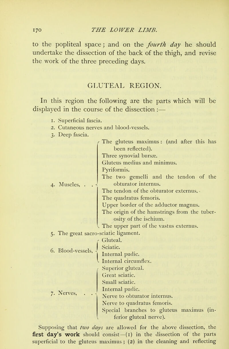 to the popliteal space; and on the fourth day he should undertake the dissection of the back of the thigh, and revise the work of the three preceding days. GLUTEAL REGION. 4. Muscles, In this region the following are the parts which will be displayed in the course of the dissection :— 1. Superficial fascia. 2. Cutaneous nerves and blood-vessels. 3. Deep fascia. The gluteus maximus : (and after this has been reflected). Three synovial bursoe. Gluteus medius and minimus. Pyriformis. The two gemelli and the tendon of the obturator internus. The tendon of the obturator externus. • The quadratus femoris. Upper border of the adductor magnus. The origin of the hamstrings from the tuber- osity of the ischium. The upper part of the vastus externus. The great sacro-sciatic ligament. r Gluteal. Sciatic. Internal pudic. Internal circumflex. Superior gluteal. Great sciatic. Small sciatic. Internal pudic. Nerve to obturator internus. Nerve to quadratus femoris. Special branches to gluteus maximus (in- ferior gluteal nerve). Supposing that two days are allowed for the above dissection, the first day's work should consist—(i) in the dissection of the parts superficial to the gluteus maximus ; (2) in the cleaning and reflecting 6. Blood-vessels, -