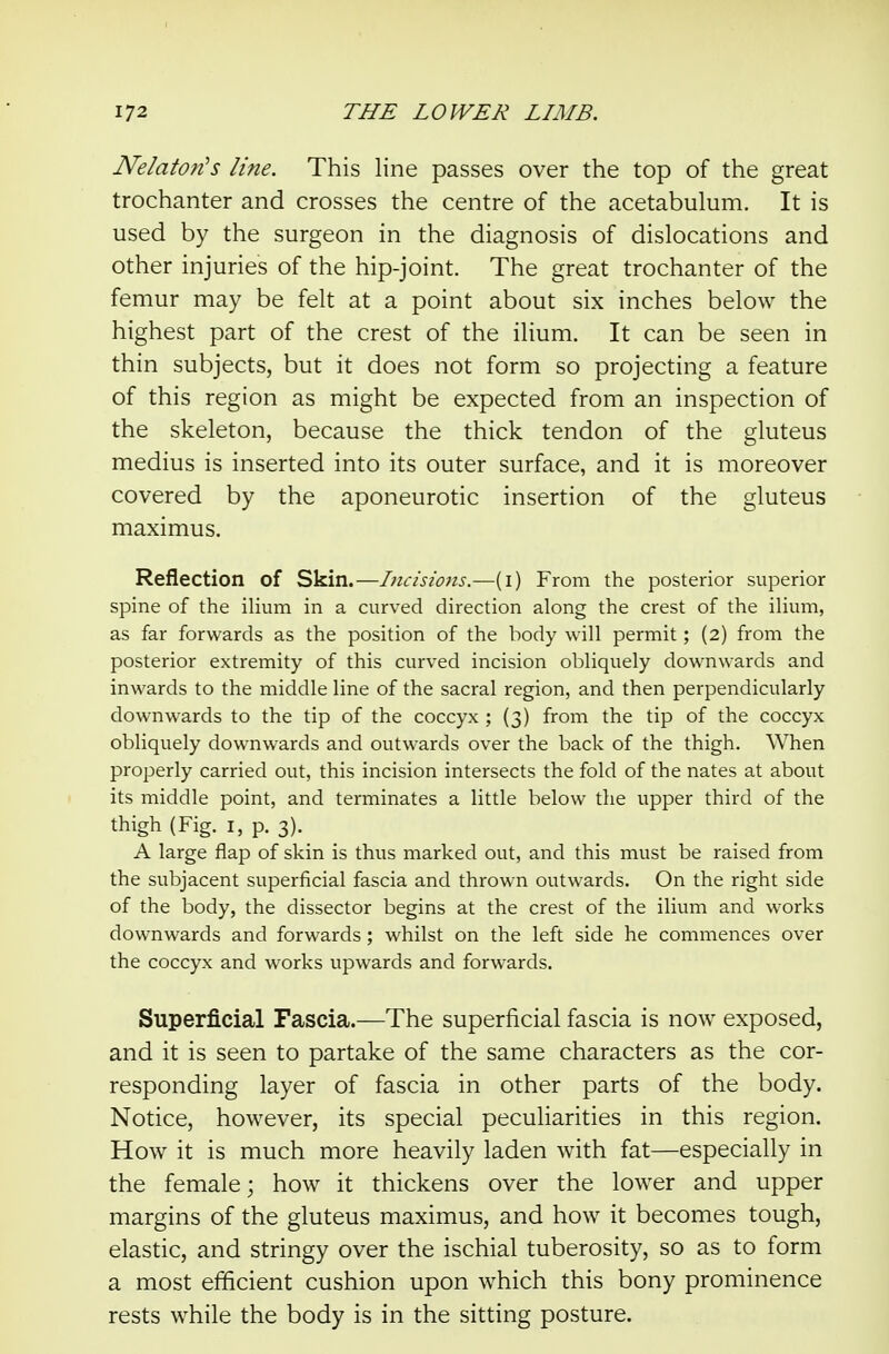 Nelaton's line. This line passes over the top of the great trochanter and crosses the centre of the acetabulum. It is used by the surgeon in the diagnosis of dislocations and other injuries of the hip-joint. The great trochanter of the femur may be felt at a point about six inches below the highest part of the crest of the ilium. It can be seen in thin subjects, but it does not form so projecting a feature of this region as might be expected from an inspection of the skeleton, because the thick tendon of the gluteus medius is inserted into its outer surface, and it is moreover covered by the aponeurotic insertion of the gluteus maximus. Reflection of Skin.—Incisions.—(i) From the posterior superior spine of the ilium in a curved direction along the crest of the ilium, as far forwards as the position of the body will permit; (2) from the posterior extremity of this curved incision obliquely downwards and inwards to the middle line of the sacral region, and then perpendicularly downwards to the tip of the coccyx ; (3) from the tip of the coccyx obliquely downwards and outwards over the back of the thigh. When properly carried out, this incision intersects the fold of the nates at about its middle point, and terminates a little below the upper third of the thigh (Fig. I, p. 3). A large flap of skin is thus marked out, and this must be raised from the subjacent superficial fascia and thrown outwards. On the right side of the body, the dissector begins at the crest of the ilium and works downwards and forwards; whilst on the left side he commences over the coccyx and works upwards and forwards. Superficial Fascia.—The superficial fascia is now exposed, and it is seen to partake of the same characters as the cor- responding layer of fascia in other parts of the body. Notice, however, its special peculiarities in this region. How it is much more heavily laden with fat—especially in the female; how it thickens over the lower and upper margins of the gluteus maximus, and how it becomes tough, elastic, and stringy over the ischial tuberosity, so as to form a most efficient cushion upon which this bony prominence rests while the body is in the sitting posture.