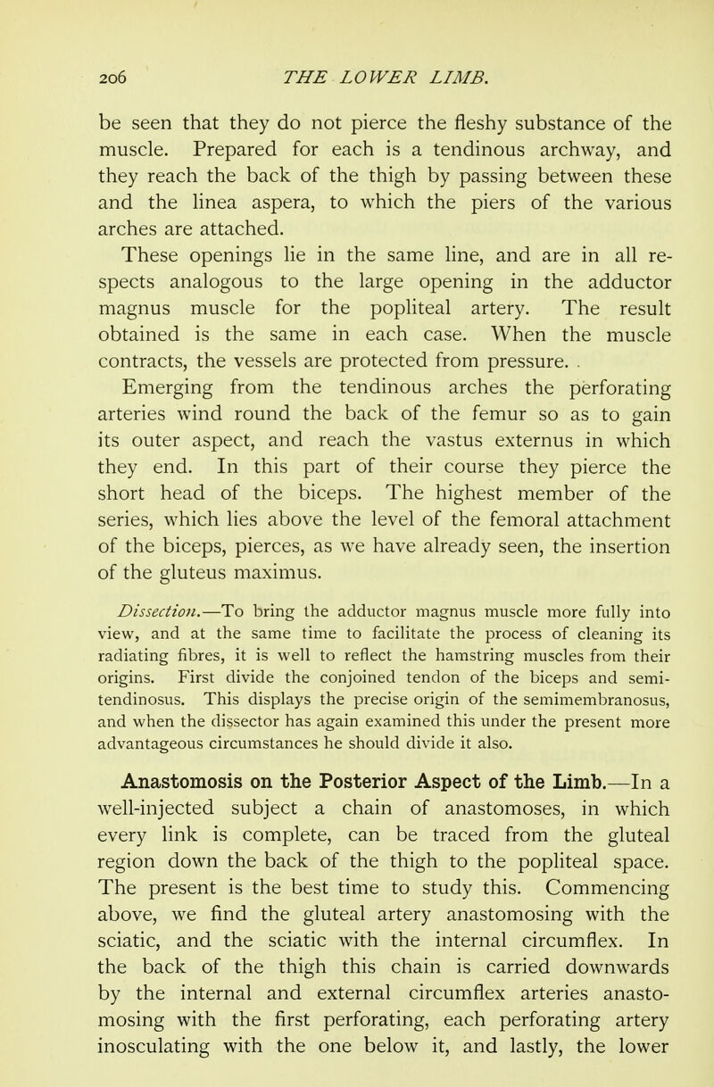 be seen that they do not pierce the fleshy substance of the muscle. Prepared for each is a tendinous archway, and they reach the back of the thigh by passing between these and the Hnea aspera, to which the piers of the various arches are attached. These openings lie in the same line, and are in all re- spects analogous to the large opening in the adductor magnus muscle for the popliteal artery. The result obtained is the same in each case. When the muscle contracts, the vessels are protected from pressure. . Emerging from the tendinous arches the perforating arteries wind round the back of the femur so as to gain its outer aspect, and reach the vastus externus in which they end. In this part of their course they pierce the short head of the biceps. The highest member of the series, which lies above the level of the femoral attachment of the biceps, pierces, as we have already seen, the insertion of the gluteus maximus. Dissection.—To bring the adductor magnus muscle more fully into view, and at the same time to facilitate the process of cleaning its radiating fibres, it is well to reflect the hamstring muscles from their origins. First divide the conjoined tendon of the biceps and semi- tendinosus. This displays the precise origin of the semimembranosus, and when the dissector has again examined this under the present more advantageous circumstances he should divide it also. Anastomosis on the Posterior Aspect of the Limb.—In a well-injected subject a chain of anastomoses, in which every link is complete, can be traced from the gluteal region down the back of the thigh to the popliteal space. The present is the best time to study this. Commencing above, we find the gluteal artery anastomosing with the sciatic, and the sciatic with the internal circumflex. In the back of the thigh this chain is carried downwards by the internal and external circumflex arteries anasto- mosing with the first perforating, each perforating artery inosculating with the one below it, and lastly, the lower