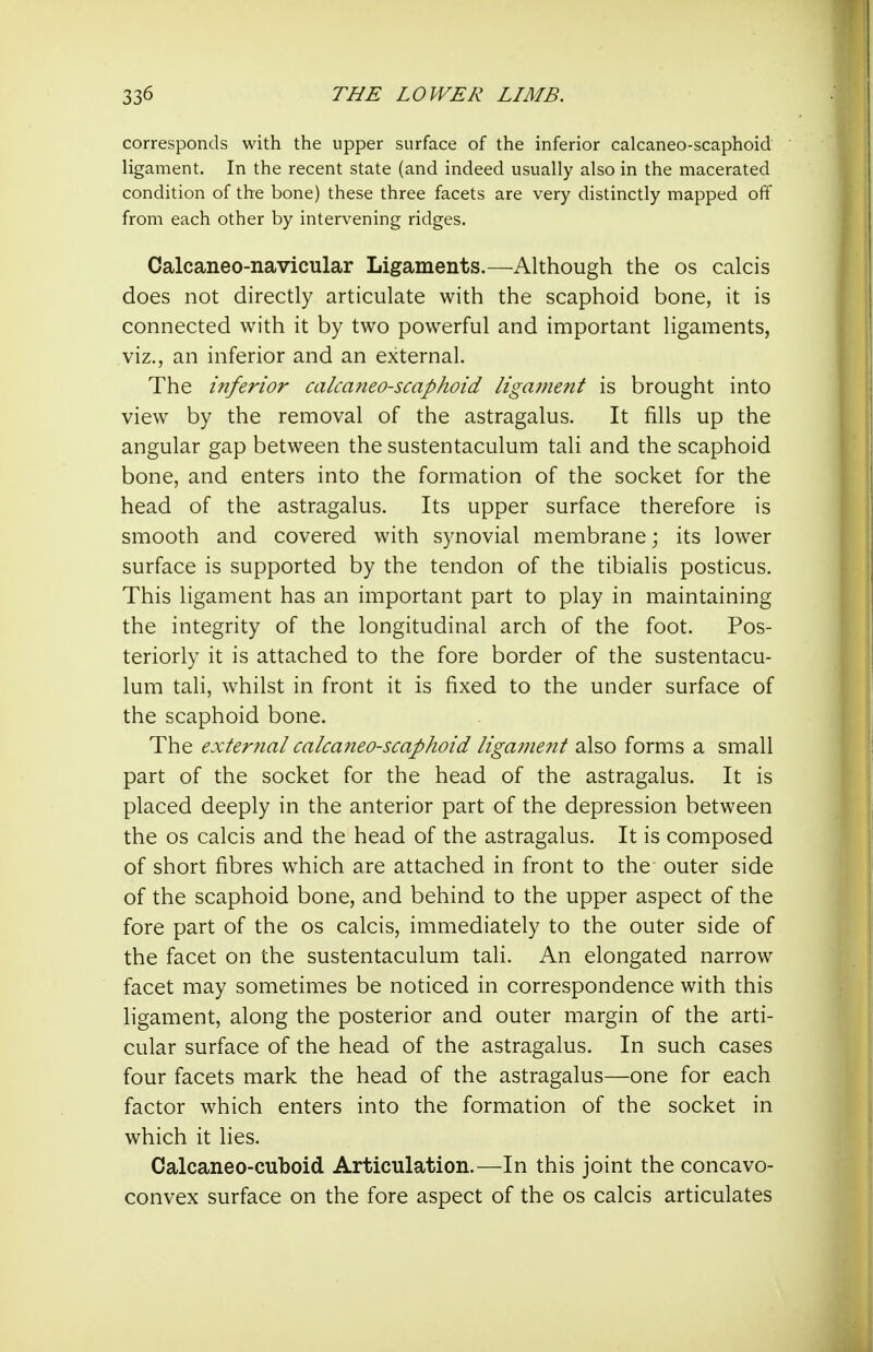 corresponds with the upper surface of the inferior calcaneo-scaphoid ligament. In the recent state (and indeed usually also in the macerated condition of the bone) these three facets are very distinctly mapped off from each other by intervening ridges. Calcaneo-navicular Ligaments.—Although the os calcis does not directly articulate with the scaphoid bone, it is connected with it by two powerful and important Hgaments, viz., an inferior and an external. The inferior calcaneo-scaphoid ligament is brought into view by the removal of the astragalus. It fills up the angular gap between the sustentaculum tali and the scaphoid bone, and enters into the formation of the socket for the head of the astragalus. Its upper surface therefore is smooth and covered with synovial membrane; its lower surface is supported by the tendon of the tibialis posticus. This ligament has an important part to play in maintaining the integrity of the longitudinal arch of the foot. Pos- teriorly it is attached to the fore border of the sustentacu- lum tali, whilst in front it is fixed to the under surface of the scaphoid bone. The external calca?ieo-scaphoid ligament also forms a small part of the socket for the head of the astragalus. It is placed deeply in the anterior part of the depression between the OS calcis and the head of the astragalus. It is composed of short fibres which are attached in front to the outer side of the scaphoid bone, and behind to the upper aspect of the fore part of the os calcis, immediately to the outer side of the facet on the sustentaculum tali. An elongated narrow facet may sometimes be noticed in correspondence with this ligament, along the posterior and outer margin of the arti- cular surface of the head of the astragalus. In such cases four facets mark the head of the astragalus—one for each factor which enters into the formation of the socket in which it lies. Calcaneo-cuboid Articulation.—In this joint the concavo- convex surface on the fore aspect of the os calcis articulates