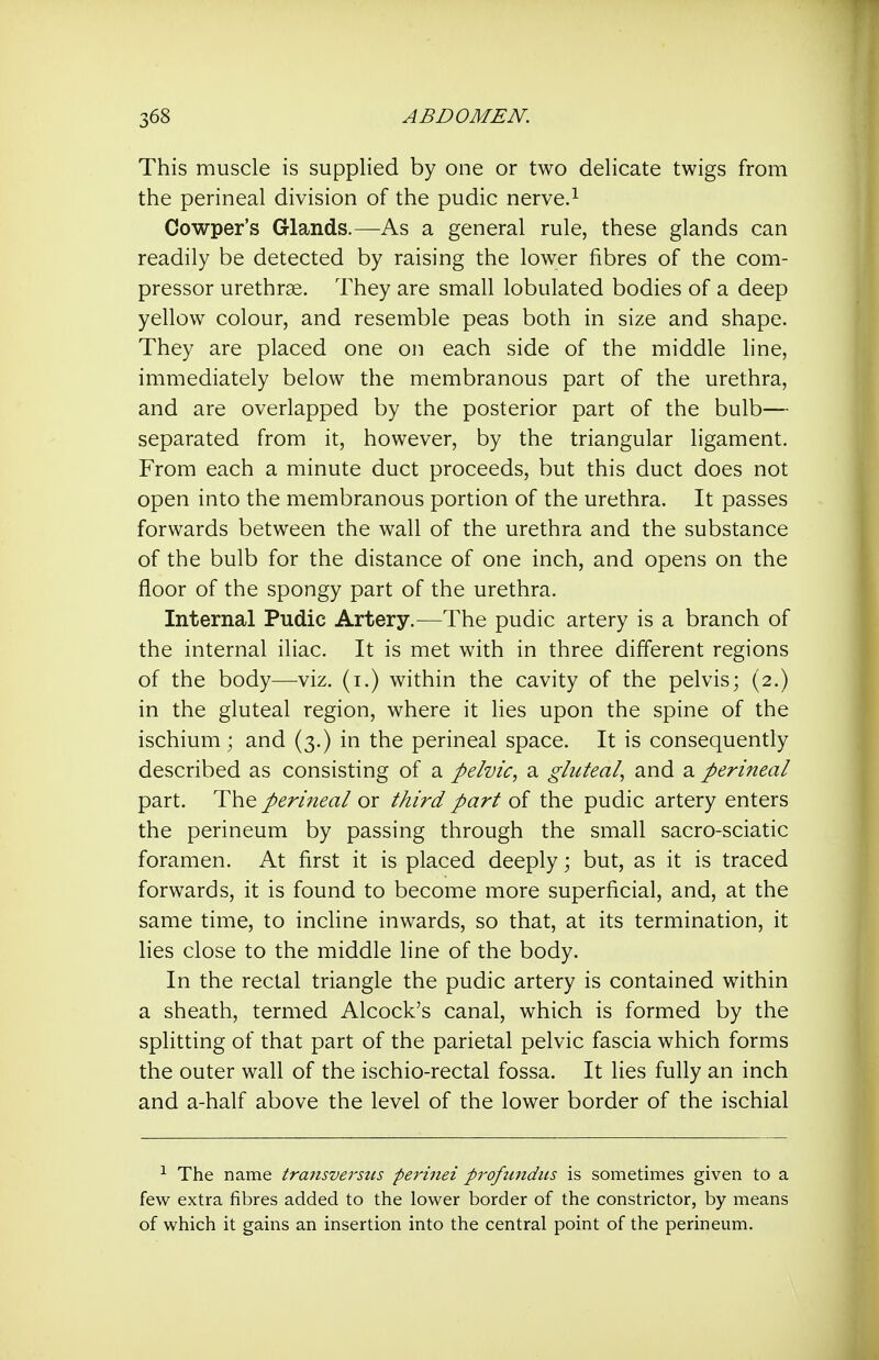This muscle is supplied by one or two delicate twigs from the perineal division of the pudic nerve.^ Cowper's Glands.—As a general rule, these glands can readily be detected by raising the lower fibres of the com- pressor urethrae. They are small lobulated bodies of a deep yellow colour, and resemble peas both in size and shape. They are placed one on each side of the middle line, immediately below the membranous part of the urethra, and are overlapped by the posterior part of the bulb— separated from it, however, by the triangular ligament. From each a minute duct proceeds, but this duct does not open into the membranous portion of the urethra. It passes forwards between the wall of the urethra and the substance of the bulb for the distance of one inch, and opens on the floor of the spongy part of the urethra. Internal Pudic Artery.—The pudic artery is a branch of the internal iliac. It is met with in three different regions of the body—-viz. (i.) within the cavity of the pelvis; (2,) in the gluteal region, where it lies upon the spine of the ischium ; and (3.) in the perineal space. It is consequently described as consisting of a pelvic, a gluteal, and a perineal part. The periiieal or third part of the pudic artery enters the perineum by passing through the small sacro-sciatic foramen. At first it is placed deeply; but, as it is traced forwards, it is found to become more superficial, and, at the same time, to incline inwards, so that, at its termination, it lies close to the middle line of the body. In the rectal triangle the pudic artery is contained within a sheath, termed Alcock's canal, which is formed by the splitting of that part of the parietal pelvic fascia which forms the outer wall of the ischio-rectal fossa. It lies fully an inch and a-half above the level of the lower border of the ischial ^ The name traiisverstts perinei profundus is sometimes given to a few extra fibres added to the lower border of the constrictor, by means of which it gains an insertion into the central point of the perineum.