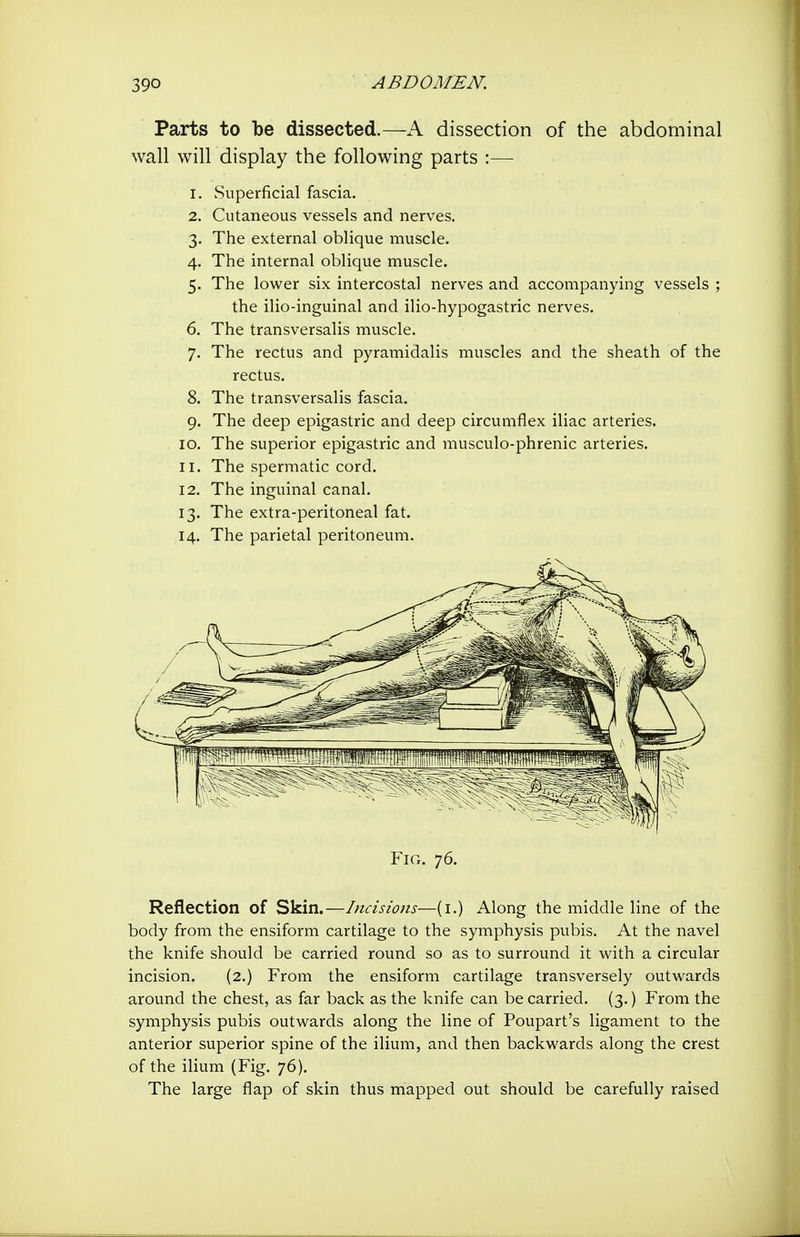 Parts to be dissected.—A dissection of the abdominal wall will display the following parts :— 1. Superficial fascia. 2. Cutaneous vessels and nerves. 3. The external oblique muscle. 4. The internal oblique muscle. 5. The lower six intercostal nerves and accompanying vessels ; the ilio-inguinal and ilio-hypogastric nerves. 6. The transversalis muscle. 7. The rectus and pyramidalis muscles and the sheath of the rectus. 8. The transversalis fascia. 9. The deep epigastric and deep circumflex iliac arteries. 10. The superior epigastric and musculo-phrenic arteries. 11. The spermatic cord. 12. The inguinal canal. 13. The extra-peritoneal fat. 14. The parietal peritoneum. Fig. 76. Reflection of Skin.—Incisions—(i.) Along the middle line of the body from the ensiform cartilage to the symphysis pubis. At the navel the knife should be carried round so as to surround it with a circular incision. (2.) From the ensiform cartilage transversely outwards around the chest, as far back as the knife can be carried. (3.) From the symphysis pubis outwards along the line of Poupart's ligament to the anterior superior spine of the ilium, and then backwards along the crest of the ilium (Fig. 76), The large flap of skin thus mapped out should be carefully raised