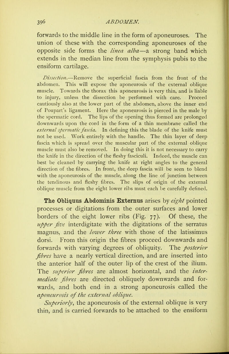 forwards to the middle line in the form of aponeuroses. The union of these with the corresponding aponeuroses of the opposite side forms the li7iea alba—a strong band which extends in the median line from the symphysis pubis to the ensiform cartilage. Dissection.—Remove the superficial fascia from the front of the abdomen. This will expose the aponeurosis of the external oblique muscle. Towards the thorax this aponeurosis is very thin, and is liable to injury, unless the dissection be performed with care. Proceed cautiously also at the lower part of the abdomen, above the inner end of Poupart's ligament. Here the aponeurosis is pierced in the male by the spermatic cord. The lips of the opening thus formed are prolonged downwards upon the cord in the form of a thin membrane called the external spermatic fascia. In defining this the blade of the knife must not be used. Work entirely with the handle. The thin layer of deep fascia which is spread over the muscular part of the external oblique muscle must also be removed. In doing this it is not necessary to carry the knife in the direction of the fleshy fasciculi. Indeed, the muscle can best be cleaned by carrying the knife at right angles to the general direction of the fibres. In front, the deep fascia will be seen to blend with the aponeurosis of the muscle, along the line of junction between the tendinous and fleshy fibres. The slips of origin of the external oblique muscle from the eight lower ribs must each be carefully defined. The Obliquus Abdominis Exteraus arises by eight pointed processes or digitations from the outer surfaces and lower borders of the eight lower ribs (Fig. 77). Of these, the upper five interdigitate with the digitations of the serratus magnus, and the lower three with those of the latissimus dorsi. From this origin the fibres proceed downwards and forwards with varying degrees of obliquity. The posterior fibres have a nearly vertical direction, and are inserted into the anterior half of the outer lip of the crest of the ilium. The superior fibres are almost horizontal, and the inter- mediate fibres are directed obliquely downwards and for- wards, and both end in a strong aponeurosis called the aponeurosis of the external obliqiie. Siperiorly, the aponeurosis of the external oblique is very thin, and is carried forwards to be attached to the ensiform