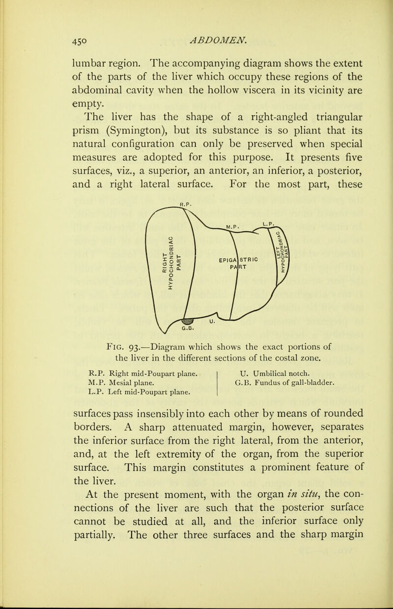 4SO ABDOMEN. lumbar region. The accompanying diagram shows the extent of the parts of the liver which occupy these regions of the abdominal cavity when the hollow viscera in its vicinity are empty. The liver has the shape of a right-angled triangular prism (Symington), but its substance is so pliant that its natural configuration can only be preserved when special measures are adopted for this purpose. It presents five surfaces, viz., a superior, an anterior, an inferior, a posterior, and a right lateral surface. For the most part, these Fig. 93.—Diagram which shows the exact portions of the liver in the different sections of the costal zone. R.P. Right mid-Poupart plane. M.P. Mesial plane. L.P. Left mid-Poupart plane. U. Umbilical notch. G.B. Fundus of gall-bladder. surfaces pass insensibly into each other by means of rounded borders. A sharp attenuated margin, however, separates the inferior surface from the right lateral, from the anterior, and, at the left extremity of the organ, from the superior surface. This margin constitutes a prominent feature of the liver. At the present moment, with the organ in situ, the con- nections of the liver are such that the posterior surface cannot be studied at all, and the inferior surface only partially. The other three surfaces and the sharp margin