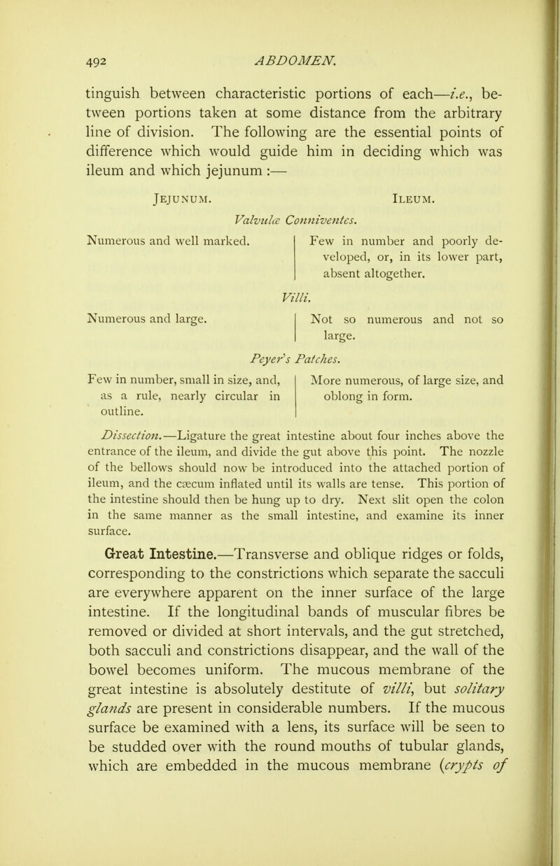 tinguish between characteristic portions of each—i.e.^ be- tween portions taken at some distance from the arbitrary line of division. The following are the essential points of difference which would guide him in deciding which was ileum and which jejunum :— Jejunum. Ileum. Valvtda Coiiniventes. Few in number and poorly de- veloped, or, in its lower part, absent altogether. Numerous and well marked. Villi. Numerous and large. | Not so numerous and not so I large. Peyer's Patches. Few in number, small in size, and, as a rule, nearly circular in outline. ]\Iore numerous, of large size, and oblonc: in form. Dissection.—Ligature the great intestine about four inches above the entrance of the ileum, and divide the gut above this point. The nozzle of the bellows should now be introduced into the attached portion of ileum, and the caecum inflated until its walls are tense. This portion of the intestine should then be hung up to dry. Next slit open the colon in the same manner as the small intestine, and examine its inner surface. Great Intestine.—Transverse and oblique ridges or folds, corresponding to the constrictions which separate the sacculi are everywhere apparent on the inner surface of the large intestine. If the longitudinal bands of muscular fibres be removed or divided at short intervals, and the gut stretched, both sacculi and constrictions disappear, and the wall of the bowel becomes uniform. The mucous membrane of the great intestine is absolutely destitute of villi, but solitary glands are present in considerable numbers. If the mucous surface be examined with a lens, its surface will be seen to be studded over with the round mouths of tubular glands, which are embedded in the mucous membrane {crypts of