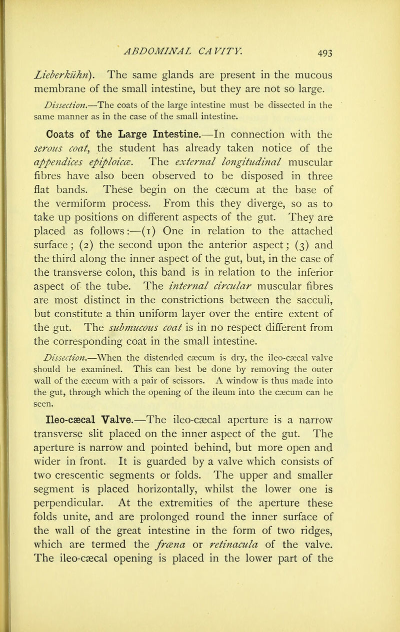 Lieberkilhn). The same glands are present in the mucous membrane of the small intestine, but they are not so large. Dissection.—The coats of the large intestine must be dissected in the same manner as in the case of the small intestine. Coats of the Large Intestine.—In connection with the serous coat., the student has already taken notice of the appendices epiploiccE. The external longitudinal muscular fibres have also been observed to be disposed in three flat bands. These begin on the caecum at the base of the vermiform process. From this they diverge, so as to take up positions on different aspects of the gut. They are placed as follows:—(i) One in relation to the attached surface; (2) the second upon the anterior aspect; (3) and the third along the inner aspect of the gut, but, in the case of the transverse colon, this band is in relation to the inferior aspect of the tube. The internal circular muscular fibres are most distinct in the constrictions between the sacculi, but constitute a thin uniform layer over the entire extent of the gut. The submucous coat is in no respect different from the corresponding coat in the small intestine. Dissection.—When the distended caecum is dry, the ileo-csecal valve should be examined. This can best be done by removing the outer wall of the coecum with a pair of scissors. A window is thus made into the gut, through which the opening of the ileum into the csecum can be seen. Ileo-csecal Valve.—The ileo-caecal aperture is a narrow transverse slit placed on the inner aspect of the gut. The aperture is narrow and pointed behind, but more open and wider in front. It is guarded by a valve which consists of two crescentic segments or folds. The upper and smaller segment is placed horizontally, whilst the lower one is perpendicular. At the extremities of the aperture these folds unite, and are prolonged round the inner surface of the wall of the great intestine in the form of two ridges, which are termed the frcena or retinacula of the valve. The ileo-caecal opening is placed in the lower part of the