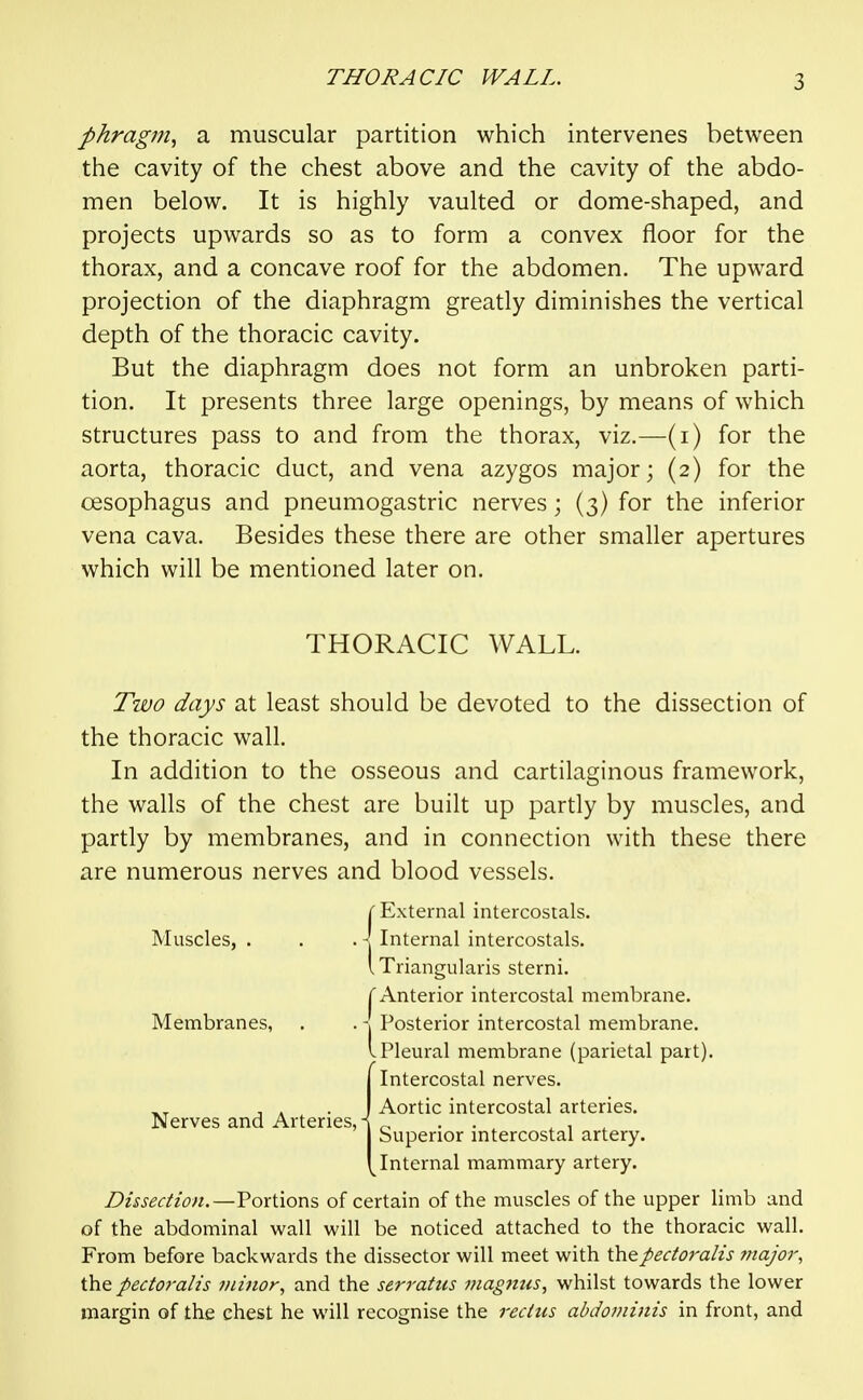 phragm, a muscular partition which intervenes between the cavity of the chest above and the cavity of the abdo- men below. It is highly vaulted or dome-shaped, and projects upwards so as to form a convex floor for the thorax, and a concave roof for the abdomen. The upward projection of the diaphragm greatly diminishes the vertical depth of the thoracic cavity. But the diaphragm does not form an unbroken parti- tion. It presents three large openings, by means of which structures pass to and from the thorax, viz.—(i) for the aorta, thoracic duct, and vena azygos major; (2) for the oesophagus and pneumogastric nerves; (3) for the inferior vena cava. Besides these there are other smaller apertures which will be mentioned later on. THORACIC WALL. Two days at least should be devoted to the dissection of the thoracic wall. In addition to the osseous and cartilaginous framework, the walls of the chest are built up partly by muscles, and partly by membranes, and in connection with these there are numerous nerves and blood vessels. (External intercostals. - Internal intercostals. I Triangularis sterni. r Anterior intercostal membrane. -| Posterior intercostal membrane. I Pleural membrane (parietal part). Intercostal nerves. Aortic intercostal arteries. Superior intercostal artery. ^Internal mammary artery. Dissection.—VoxMioxvi of certain of the muscles of the upper limb and of the abdominal wall will be noticed attached to the thoracic wall. From before backwards the dissector will meet with thepedoralis 7najor^ the pectoralis viinor, and the serratus magmis, whilst towards the lower margin of the chest he will recognise the recHis abdominis in front, and Muscles, Membranes, Nerves and Arteries, -