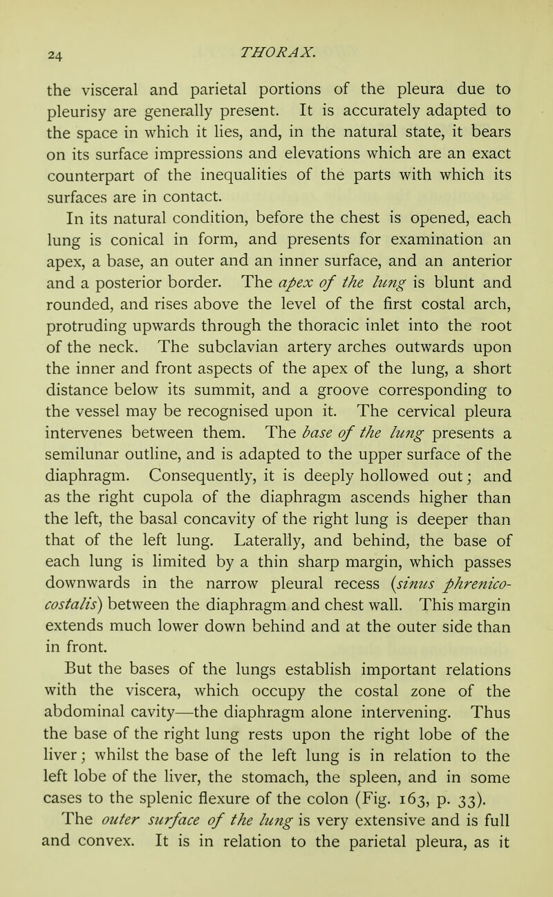 the visceral and parietal portions of the pleura due to pleurisy are generally present. It is accurately adapted to the space in which it lies, and, in the natural state, it bears on its surface impressions and elevations which are an exact counterpart of the inequalities of the parts with which its surfaces are in contact. In its natural condition, before the chest is opened, each lung is conical in form, and presents for examination an apex, a base, an outer and an inner surface, and an anterior and a posterior border. The apex of the lung is blunt and rounded, and rises above the level of the first costal arch, protruding upwards through the thoracic inlet into the root of the neck. The subclavian artery arches outwards upon the inner and front aspects of the apex of the lung, a short distance below its summit, and a groove corresponding to the vessel may be recognised upon it. The cervical pleura intervenes between them. The base of the lung presents a semilunar outHne, and is adapted to the upper surface of the diaphragm. Consequently, it is deeply hollowed out; and as the right cupola of the diaphragm ascends higher than the left, the basal concavity of the right lung is deeper than that of the left lung. Laterally, and behind, the base of each lung is limited by a thin sharp margin, which passes downwards in the narrow pleural recess {sinus phrenico- costalis) between the diaphragm and chest wall. This margin extends much lower down behind and at the outer side than in front. But the bases of the lungs establish important relations with the viscera, which occupy the costal zone of the abdominal cavity—the diaphragm alone intervening. Thus the base of the right lung rests upon the right lobe of the liver; whilst the base of the left lung is in relation to the left lobe of the liver, the stomach, the spleen, and in some cases to the splenic flexure of the colon (Fig. 163, p. 33). The outer surface of the lung is very extensive and is full and convex. It is in relation to the parietal pleura, as it