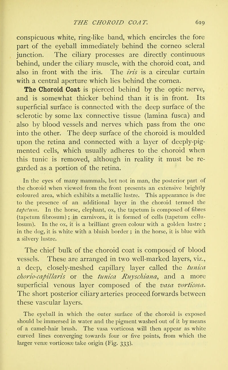 conspicuous white, ring-like band, which encircles the fore part of the eyeball immediately behind the corneo scleral junction. The ciliary processes are directly continuous behind, under the ciliary muscle, with the choroid coat, and also in front with the iris. The iris is a circular curtain with a central aperture which lies behind the cornea. The Choroid Coat is pierced behind by the optic nerve, and is somewhat thicker behind than it is in front. Its superficial surface is connected with the deep surface of the sclerotic by some lax connective tissue (lamina fusca) and also by blood vessels and nerves which pass from the one into the other. The deep surface of the choroid is moulded upon the retina and connected with a layer of deeply-pig- mented cells, which usually adheres to the choroid when this tunic is removed, although in reality it must be re- garded as a portion of the retina. In the eyes of many mammals, but not in man, the posterior part of the choroid when viewed from the front presents an extensive brightly coloured area, which exhibits a metallic lustre. This appearance is due to the presence of an additional layer in the choroid termed the tapedini. In the horse, elephant, ox, the tapetum is composed of fibres (tapetum fibrosum) ; in carnivora, it is formed of cells (tapetum cellu- losum). In the ox, it is a brilliant green colour with a golden lustre ; in the dog, it is white with a bluish border ; in the horse, it is blue with a silvery lustre. The chief bulk of the choroid coat is composed of blood vessels. These are arranged in two well-marked layers, viz., a deep, closely-meshed capillary layer called the tufiica chorio-capillaris or the tunica Ruyschiana, and a more superficial venous layer composed of the vasa voriicosa. The short posterior ciliary arteries proceed forwards between these vascular layers. The eyeball in which the outer surface of the choroid is exposed should be immersed in water and the pigment washed out of it by means of a camel-hair brush. The vasa vorticosa will then appear as white curved lines converging towards four or five points, from which the larger venje vorticosoe take origin (Fig. 333).