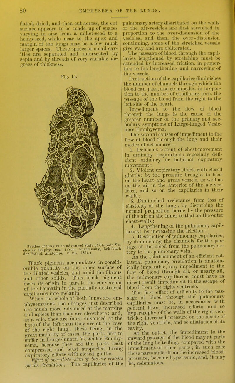 flated, dried, and thon cut acrosH, the cut surliicc appciu-H to be iiiade up of spaces varying in sizi; from a niillel-Heod to a lu!n>p-seed, while near to tlie apex and niarj^in of the lungs may be a few much larger spaces. These spaces or small cav- ities arc separated and intersected by septa and by thr(;ads of very variable de- grees of thickness. Fig. 14. Pectlon of lung In m advanced state of Chronic Ve- sicular Emphysema. (From KoI;it;m8Uy, Lchrbuoh der Pathol. Anatomle. B. iii. 1861.) 331ack pigment accumulates in consid- erable quantity on the inner surface of the dilated vesicles, and amid the tibrous and other solids. This black pigment owes its origin in part to the conversion of the hajmatin in the partially destroyed capillaries into melanin. When the whole of both lungs arc em- physematous, the changes just described are much more advanced at the margins and apices than they are clsev/here ; and, as a rule, they are more advanced at the base of the left than they are at the base of the right lung; these being, in the great majority of cases, the parts first to suffer in'Large-lunged Vesicular Emphy- sema, because they are the parts least compressed and least supported during expiratory ellbrts with closed glottis. Effect nf over-dintrnainn of the (lir-vesides on tlie circulation.—ThG capillaries of the pulmonary artery diBtributed on the walls of the air-vesicles are lirst stretched in pro|)()rtion to the over-distension of the vesicles, and then, the over-distension continuing, some of the stretched vessels give way and are oljliteratod. The ])assage of blood through the capil- laries lengthened by stretching must be attended by increased friction, in ]iroj)or- tion to the lengthening and narrowing of tiie vessels. Destruction of the capillaries diminishes the number of channels through which the blood can pass, and so impedes, in ])ropor- tion to the number of capillaries torn, the passage of the blood from the right to the left side of the heart. Impediment to the flow of blood through the lungs is the cause of the greater number of the primary and sec- ondary symptoms of Large-lunged Vesic- ular Emphysema. The several causes of impediment to the flow of blood through the lung and their modes of action are— 1. Deficient extent of chest-movement in ordinary respiration ; especially defi- cient ordinary or habitual expiratory movement: 2. Violent expiratory efforts with closed glottis; by the pressure brought to bear on the heart and great vessels, as well as on the air in the anterior of the air-ves- icles, and so on the capillaries in their walls : 3. Diminished resistance from loss of elasticity of the lung ; by disturbing the normal proportion borne by the pressure of the air on the inner to that on the outer chest-walls: 4. Lengthening of the pulmonary capil- laries ; by increasing the friction : 5. Destruction of pulmonary capillaries; by diminishing the channels for the pas- sage of the blood from the pulmonary ar- tery to the pulmonary vein. As the establishment of an eflScient col- lateral pulmonary circulation is anatom- ically impossible, any impediment to the flow of blood throuah all, or nearly all, the pulmonary capillaries, must have as direct result impediment to the escape of blood from the right ventricle. The first eftect of difficulty to the pas- sage of blood through the pulmonarv capillaries must be. in accordance with general laws, increased efforts, and so hypertrophy of the walls of the right ven- tricle ; increased pressure on the inside of the right ventricle, and so dilatation of its cavity. At the outset, the impediment to the onward passage of the blood may at parts of the lung be trifling, compared with the impediment at other parts ; in such ca.=e these parts suffer from the increased blood- ])ressure, become hypericmic, and, it may be, oidematous.