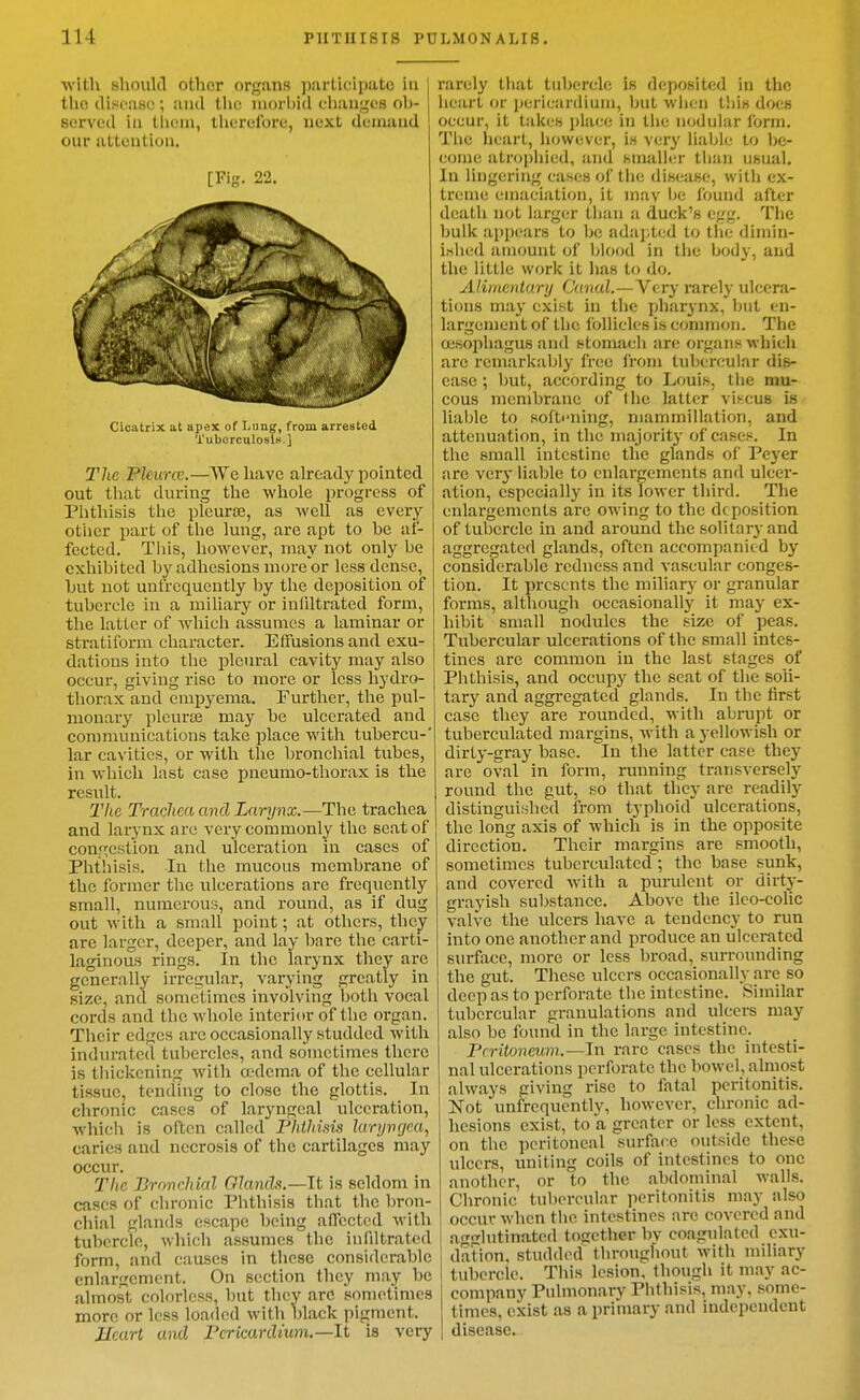 with sliould other organs participate in I the cliMoaso ; and the nioi'l)i(l chani^os oh- | served in tlioni, tliorelbrc, next demand our attention. [Fig. 22. cicatrix at apex of Lung, from arrested Tuborculosln.] The Pleune.—We have already pointed out that during tlie wliole progress of Phthisis the pleurae, as well as every otlicr part of the lung, are apt to be af- fected. This, however, may not only be exhibited by adhesions more or less dense, but not unfrcquently by the deposition of tubercle in a miliary or infdtrated form, the latter of which assumes a laminar or stratiform character. Effusions and exu- dations into the pleural cavity may also occur, giving rise to more or less hydro- thorax and empyema. Further, the pul- monary pleurce may be ulcerated and communications take place with tubercu-' lar cavities, or with the bronchial tubes, in which last case pneumo-thorax is the result. The Trachea and Larynx.—The trachea and larynx are very commonly the seat of congestioa and ulceration in cases of Phthisis. In the mucous membrane of the former the ulcerations are frequently small, numerous, and round, as if dug out with a small point; at others, they are larger, deeper, and lay bare the carti- laginous rings. In the larynx they are generally irregular, vaiying greatly in size, and sometimes involving both vocal cords and the whole interior of the organ. Their edges are occasionally studded with indurated tubercles, and sometimes there is tliickcning with a-dema of the cellular tissue, tending to close the glottis. In chronic cases of laryngeal ulceration, which is often called Phthisis laryvgea, caries and necrosis of the cartilages may occur. The Bmnchial Glands.—It is seldom in cases of chronic Phthisis that the bron- chial glands escape being afTcctod with tubercle, which assumes the infiltrated form, and causes in these considerable enlargement. On section they may be almost colorless, but they arc sometimes more or less loaded with black pigment. Meurt and Pericardium.—It is very rarely that tubercle is deposited in the heart or pericardiuin, but wlx'n tliis does occur, it tak(,-s ])lace in the nodular Ibrm. The heart, however, is very lialjie to be- come atrophied, and smaller tiian usual. In lingering cases of the disease, with ex- treme emaciation, it may l)e found after death not larger than a duck's egg. The bulk appears to be adaj-tcd to the dimin- i.slied amount of Ijlood in the body, and the little work it has to do. Alimentary Canal.—Very rarely ulcera- tions may exist in the pharynx, but en- largement of the follicles is comm<jn. The cesophagus and stomach are organs whicli are remarkably free from tubercular dis- ease ; but, according to Louis, the mu- cous membrane of (he latter vi^cus is lialjle to softi'uing, mammillation, and attevmation, in the majority of cases. In the small intestine the glands of Peyer are very liable to enlargements and ulcer- ation, especially in its lower third. The enlargements are owing to the deposition of tubercle in and around the solitary and aggregated glands, often accompanied by considerable redness and vascular conges- tion. It presents the miliary or granular forms, although occasionally it may ex- hibit small nodules the size of peas. Tubercular ulcerations of the small intes- tines are common in the last stages of Phthisis, and occupy the seat of the soli- tary and aggregated glands. In the first case they are i-oundcd, with abrupt or tuberculated margins, with a yellowish or dirty-gray base. In the latter case they are oval in form, running transversely round the gut, so that they are readily distinguished from typhoid ulcerations, the long axis of which is in the opposite direction. Their margins are smooth, sometimes tuberculated ; the base sunk, and covered with a purulent or dirty- grayish substance. Above the ilco-cohc valve the ulcers have a tendency to run into one another and produce an ulcerated surface, more or less broad, surrounding the gut. These ulcers occasionally are so deep as to perforate the intestine. Similar tubercular granulations and ulcers may also be found in the large intestine. Peritoneum.—In rare cases the intesti- nal ulcerations perforate the bowel, almost always giving rise to fatal peritonitis. Not unfrcquently, however, chronic ad- hesions exist, to a greater or loss extent, on the peritoneal surface outside these ulcers, uniting coils of intestines to one another, or to the abdominal walls. Chronic tubercular peritonitis may also occur when tlie intestines are covered and a^Hutinatcd together bv coagulated exu- dation, studded throughout with miliary tubercle. This lesion, though it may ac- company Pulmonary Phthisis, may, .some- times, exist as a primary and independent disease.