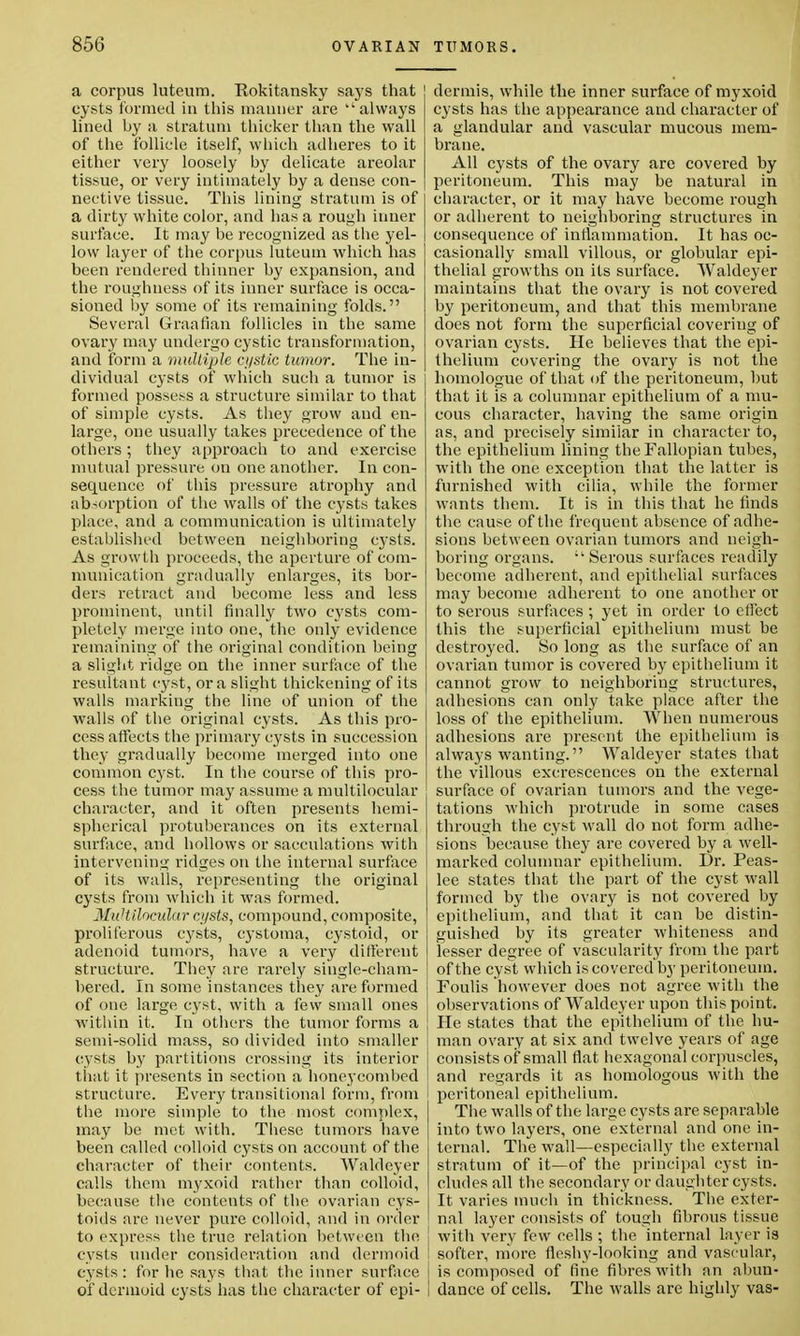 a corpus luteum. Rokitansky says that cysts formed in this manner are always lined by a stratum thicker than the wall of the follicle itself, which adheres to it either very loosely by delicate areolar tissue, or very intimately by a dense con- nective tissue. This lining stratum is of a dirty white color, and has a rough inner surface. It may be recognized as the yel- low layer of the corpus luteuin which has been rendered thinner by expansion, and the roughness of its inner surface is occa- sioned by some of its remaining folds. Several Graafian follicles in the same ovary may undergo cystic transformation, and form a multiple cj/stic tumor. The in- dividual cysts of which such a tumor is formed possess a structure similar to that of simple cysts. As they grow and en- large, one usually takes precedence of the others; they approach to and exercise mutual pressure on one another. In con- sequence of this pressure atrophy and absorption of the walls of the cysts takes place, and a communication is ultimately established between neighboring cysts. As growth proceeds, the aperture of com- munication gradually enlarges, its bor- ders retract and become less and less prominent, until finally two cysts com- pletely merge into one, the only evidence remaining of the original condition being a slight ridge on the inner surface of the resultant cyst, or a slight thickening of its walls marking the line of union of the walls of the original cysts. As this pro- cess affects the primary cysts in succession they gradually become merged into one common cyst. In the course of this pro- cess the tumor may assume a multilobular character, and it often presents hemi- spherical protuberances on its external surface, and hollows or sacculations with intervening ridges on the internal surface of its walls, representing the original cysts from which it was formed. Multilocular cysts, compound, composite, proliferous cysts, cystoma, cystoid, or adenoid tumors, have a very different structure. They are rarely single-cham- bered. In some instances they are formed of one large cyst, with a few small ones within it. In others the tumor forms a semi-solid mass, so divided into smaller cysts by partitions crossing its interior that it presents in section a honeycombed structure. Every transitional form, from the more simple to the most complex, may be met with. These tumors have been called colloid cysts on account of the character of their contents. Waldeyer calls them myxoid rather than colloid, because the contents of the ovarian cys- toids are never pure colloid, and in order to express the true relation between the cysts under consideration and dermoid cysts : for he says that the inner surface of dermoid cysts has the character of epi- dermis, while the inner surface of myxoid cysts has the appearance and character of a glandular and vascular mucous mem- brane. All cysts of the ovary are covered by peritoneum. This may be natural in character, or it may have become rough or adherent to neighboring structures in consequence of inflammation. It has oc- casionally small villous, or globular epi- thelial growths on its surface. Waldeyer maintains that the ovary is not covered by peritoneum, and that this membrane does not form the superficial covering of ovarian cysts. He believes that the epi- thelium covering the ovary is not the homologue of that of the peritoneum, but that it is a columnar epithelium of a mu- cous character, having the same origin as, and precisely similar in character to, the epithelium lining the Fallopian tubes, with the one exception that the latter is furnished with cilia, while the former wants them. It is in this that he finds the cause of the frequent absence of adhe- sions between ovarian tumors and neigh- boring organs.  Serous surfaces readily become adherent, and epithelial surfaces may become adherent to one another or to serous surfaces; yet in order to effect this the superficial epithelium must be destroyed. So long as the surface of an ovarian tumor is covered by epithelium it cannot grow to neighboring structures, adhesions can only take place after the loss of the epithelium. When numerous adhesions are present the epithelium is always wanting. Waldeyer states that the villous excrescences on the external surface of ovarian tumors and the vege- tations which protrude in some cases through the cyst wall do not form adhe- sions because they are covered by a well- marked columnar epithelium. Dr. Peas- lee states that the part of the cyst wall formed by the ovary is not covered by epithelium, and that it can be distin- guished by its greater whiteness and lesser degree of vascularity from the part of the cyst which is covered by peritoneum. Foulis however does not agree with the observations of Waldeyer upon this point. He states that the epithelium of the hu- man ovary at six and twelve years of age I consists of small flat hexagonal corpuscles, I and regards it as homologous with the i peritoneal epithelium. The walls of the large cysts are separable into two layers, one external and one in- ternal. The wall—especially the external stratum of it—of the principal cyst in- cludes all the secondary or daughter cysts. It varies much in thickness. The exter- nal layer consists of tough fibrous tissue with very few cells ; the internal layer is I softer, more fleshy-looking and vascular, j is composed of fine fibres with an abun- ! dance of cells. The walls are highly vas-