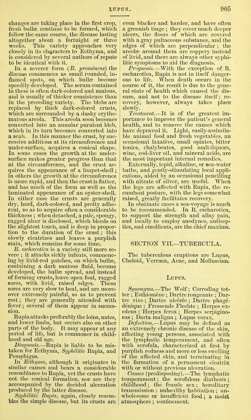 changes are taking place in the first crop, j fresh bulla? continue to be formed, which follow the same course, the disease lasting altogether about a fortnight or three weeks. This variety approaches very closely in its characters to Ecthyma, and is considered by several authors of repute to be identical with it. In a severer form (i?. prominens) the disease commences as small rounded, in- flamed spots, on which bulla? become speedily developed. The serum contained in these is often dark-colored and sanious, and is usually of thicker consistence than in the preceding variety. The blebs are replaced by thick dark-colored crusts, which are surrounded by a dusky erythe- matous areola. This areola soon becomes converted into an annular purulent bleb, which in its turn becomes converted into a scab. In this manner the crust, by suc- cessive additions at its circumference and under-surface, acquires a conical shape. In some cases the growth at the under- surface makes greater progress than that at the circumference, and the crust ac- quires the appearance of a limpet-shell; in others the growth at the circumference is more rapid, and then the crust is flatter, and has much of the form as well as the laminated appearance of an oyster-shell. In either case the crusts are generally dry, hard, dark-colored, and pretty adhe- rent, so as to acquire often a considerable thickness ; when detached, a pale, spongy, ragged ulcer is disclosed, which bleeds on the slightest touch, and is deep in propor- tion to the duration of the crust; this slowly cicatrizes and leaves a purplish stain, which remains for some time. It. escharotica is a variety still more se- vere ; it attacks sickly infants, commenc- ing by livid-red patches, on which bulla?, containing a dark sanious fluid, become developed, the bulla? spread, and instead of forming crusts, leave open foul, ragged sores, with livid, raised edges. These sores are very slow to heal, and are more- over extremely painful, so as to prevent rest; they are generally attended with fever; several of them appear in succes- sion. Eupia attacks preferably the loins, nates, and lower limbs, but occurs also on other parts of the body. It may appear at any period of life, but is commoner in child- hood and old age. Diagnosis.—Eupia is liable to be mis- taken for Ecthyma, Syphilitic Eupia, and Pemphigus. In Ecthyma, although it originates in similar causes and bears a considerable resemblance to Eupia, yet the crusts have not the conical formation, nor are they accompanied by the decided ulceration produced by the latter disease. Syphilitic Ttupia, again, closely resem- bles the simple disease, but its crusts are I even blacker and harder, and have often a greenish tinge ; they cover much deeper j ulcers, the floors of which are covered ■ with a gray pultaceous substance, and the edges of which are perpendicular ; the areola? around them are coppery instead of livid, and there are always other syphi- litic symptoms to aid the diagnosis. Prognosis.—With the exception of E. escharotica, Eupia is not in itself danger- ous to life. When death occurs in the course of it, the result is due to the gene- ral state of health which caused the dis- ease, and not to the disease itself; re- covery, however, always takes place slowly. Treatment.—It is of the greatest im- portance to improve the patient's general health, and to remove the causes which have depraved it. Light, easily-assimila- ble animal food and fresh vegetables, an occasional laxative, small opiates, bitter tonics, chalybeates, good malt-liquors, wine, cod-liver oil, and mineral acids, are the most important internal remedies. Externally, tepid, alkaline, or sea-water baths, and gently-stimulating local appli- cations, aided by an occasional pencilling with nitrate of silver, are useful. When the legs are affected with Eupia, the re- cumbent posture, with the legs somewhat raised, greatly facilitates recovery. In obstinate cases a sea-voyage is much to be recommended. In E. escharotica, to support the strength and allay pain, and locally to employ anodynes, antisep- tics, and emollients, are the chief maxims. SECTION TH.—TUBEECULA. The tuberculous eruptions are Lupus, Cheloid, Verruca, Acne, and Molluscum. Luptjs. Synonyms.—The Wolf; Corroding tet- ter ; Esthiomene; Dartre rongeante ; Dar- tre vive; Dartre ulceree ; Dartre phage- denique ; Fressende Flechte ; Herpes ex- edens ; Herpes ferox; Herpes serpigino- sus ; Darta maligna ; Lupus vorax. Definition.—Lupus may be defined as an extremely chronic disease of the skin, affecting young persons, associated with the lymphatic temperament, and often with scrofula, characterized at first by purplish redness and more or less swelling of the affected skin, and terminating in the formation of a permanent cicatrix with or without previous ulceration. Causes (predisposing).—The lymphatic temperament; the scrofulous diathesis ; childhood; the female sex; hereditary transmission ; unhealthy habitation ; un- wholesome or insufficient food ; a moist atmosphere ; confinement.