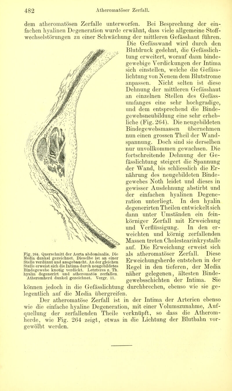 dem atheromatösen Zerfalle unterworfen. Bei Besprechung der ein- fachen hyalinen Degeneration wurde erwähnt, dass viele allgemeine Stoff- wechselstörungen zu einer Schwächung der mittleren Gefässhaut führen. Die Gefässwand wird durch den Blutdruck gedehnt, die Gefässlich- tung erweitert, worauf dann binde- gewebige Verdickungen der Intima sich einstellen, welche die Gefäss- lichtung von Neuem dem Blutstrome anpassen. Nicht selten ist diese Dehnung der mittleren Gefässhaut an einzelnen Stellen des Gefäss- umfanges eine sehr hochgradige, und dem entsprechend die Binde - gewebsneubilduug eine sehr erheb- liche (Fig. 264). Die neugebildeten Bindegewebsmassen übernehmen nun einen grossen Theil der Wand- spannung. Doch sind sie derselben nur unvollkommen gewachsen. Die fortschreitende Dehnung der Ge- fässlichtung steigert die Spannung der Wand, bis schliesslich die Er- nährung des neugebildeten Binde- gewebes Noth leidet und dieses in gewisser Ausdehnung abstirbt und der einfachen hyalinen Degene- ration unterliegt. In den hyalin degenerirten Theilen entwickelt sich dann unter Umständen ein fein- körniger Zerfall mit Erweichung und Verflüssigung. In den er- weichten und körnig zerfallenden Massen treten Cholestearinkrystalle auf. Die Erweichung erweist sich als atheromatöser Zerfall. Diese Erweichungsherde entstehen in der Regel in den tieferen, der Media näher gelegenen, ältesten Binde- gewebsschichten der Intima. Sie können jedoch in die Gefässlichtung durchbrechen, ebenso wie sie ge- legentlich auf die Media übergreifen. Der atheromatöse Zerfall ist in der Intima der Arterien ebenso wie die einfache hyaline Degeneration, mit einer Volumszunahme, Auf- quellung der zerfallenden Theile verknüpft, so dass die Atherom - herde, wie Fig. 264 zeigt, etwas in die Lichtung der Blutbahn vor- gewölbt werden. Die Fig. 264. Querschnitt der Aorta abdominalis Media dunkel gezeichnet. Dieselbe ist an einer Stelle verdünnt und ausgebaucht. An der gleichen Stelle erweist sich die Intima durch neugebildetes Bindegewebe knotig verdickt. Letzteres z. Th. hyalin degenerirt und atheromatös zerfallen. Atheromherd dunkel gezeichnet. Vergr. 11.