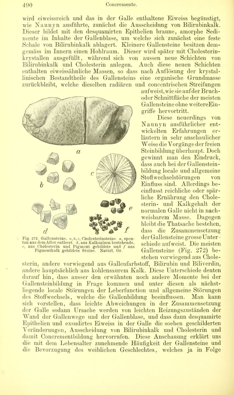 wird eiweissreich und das in der Galle enthaltene Eiweiss begünstigt, wie Naunyn ausführte, zunächst die Ausscheidung von Bilirubinkalk. Dieser bildet mit den desquamirten Epithelien braune, amorphe Sedi- mente im Inhalte der Gallenblase, um welche sich zunächst eine feste Schale von Bilirubinkalk ablagert. Kleinere Gallensteine besitzen dem- gemäss im Innern einen Hohlraum. Dieser wird später mit Cholesterin - krystallen ausgefüllt, während sich von aussen neue Schichten von Bilirubinkalk und Cholesterin anlegen. Auch diese neuen Schichten enthalten eiweissähnliche Massen, so dass nach Auflösung der krystal- linischen Bestandtheile des Gallensteins eine organische Grundmasse zurückbleibt, welche dieselben radiären und concentrischen Streifungen aufweist, wie sie auf der Bruch- oder Schnittfläche der meisten Gallensteine ohne weitereEin- griffe hervortritt. Diese neuerdings von Naunyn ausführlicher ent- wickelten Erfahrungen er- läutern in sehr anschaulicher Weise die Vorgänge der freien Steinbilclung überhaupt. Doch gewinnt man den Eindruck, dass auch bei der Gallenstein- bildung locale und allgemeine Stoffwechselstörungen von Einfluss sind. Allerdings be- einflusst reichliche oder spär- liche Ernährung den Chole- sterin- und Kalkgehalt der normalen Galle nicht in nach- weisbarem Masse. Dagegen bleibt die Thatsache bestehen, dass die Zusammensetzung der Gallensteine grosse Unter - schiede aufweist. Die meisten Gallensteine (Fig. 272) be- stehen vorwiegend aus Chole- sterin, andere vorwiegend aus Gallenfarbstoff, Bilirubin und Biliverdin, andere hauptsächlich aus kohlensaurem Kalk. Diese Unterschiede deuten ciarauf hin, dass ausser den erwähnten noch andere Momente bei der Gallensteinbildung in Frage kommen und unter diesen als nächst- liegende locale Störungen der Leberfunction und allgemeine Störungen des Stoffwechsels, welche die Gallenbildung beeinflussen. Man kann sich vorstellen, dass leichte Abweichungen in der Zusammensetzung der Galle sodann Ursache werden von leichten Reizungszuständen der Wand der Gallenwege und der Gallenblase, und dass dann clesquamirte Epithelien und exsudirtes Eiweiss in der Galle die soeben geschilderten Veränderungen, Ausscheidung von Bilirubinkalk und Cholesterin und damit Concrementbildung hervorrufen. Diese Anschauung erklärt uns die mit dem Lebensalter zunehmende Häufigkeit der Gallensteine und die Bevorzugung des weiblichen Geschlechtes, welches ja in Folge Fig. 272. Gallensteine, a, b, c, Cholesterinsteine, a, spon- tan aus dem After entleert, ä, aus Kalksalzen bestehende. e, aus Cholesterin und Pigment gebildete und f aus Pigmentkalk gebildete Steine. Natürl. Gr.